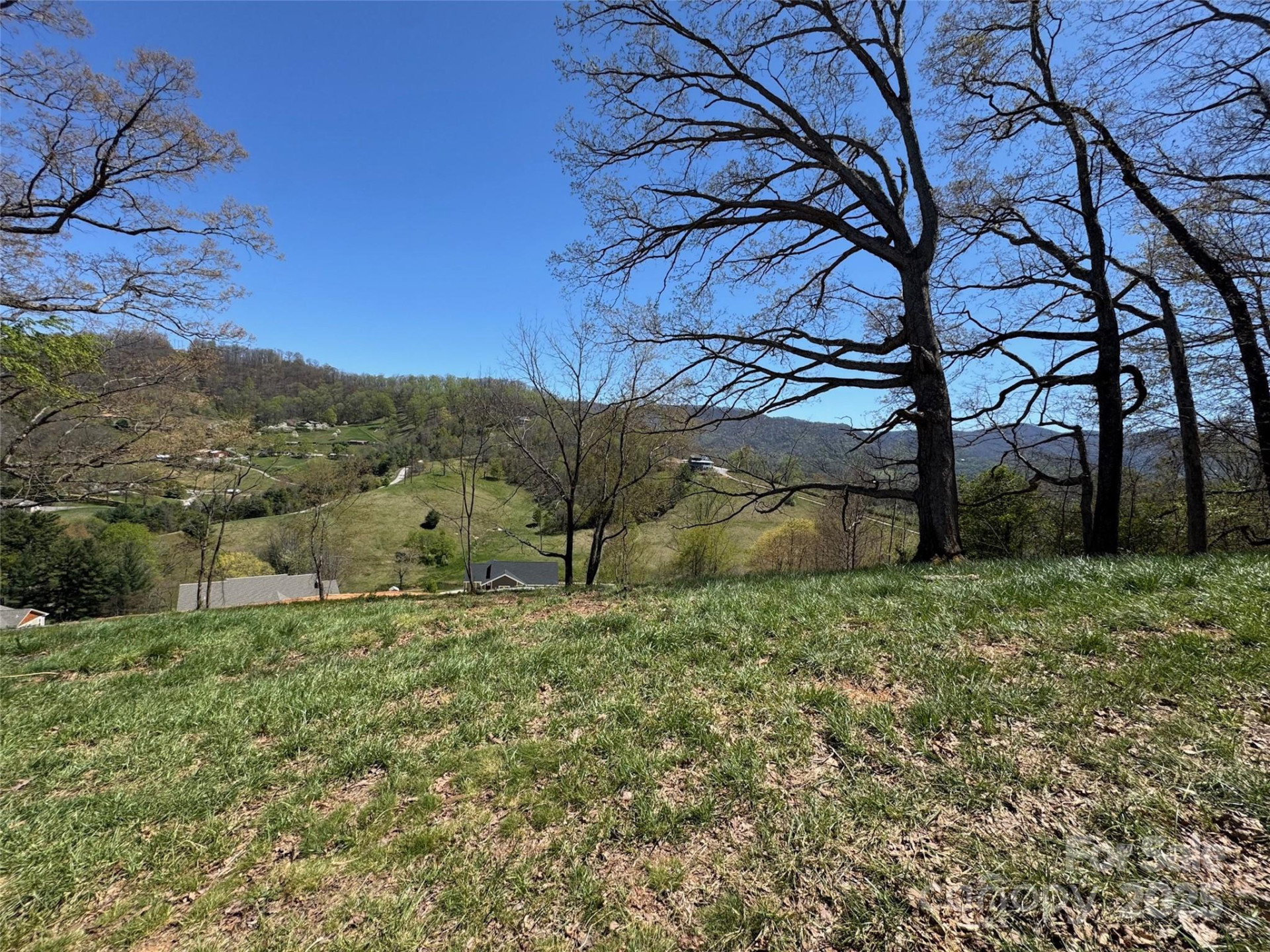 00 Aster Ridge Drive #10 - Photo 16