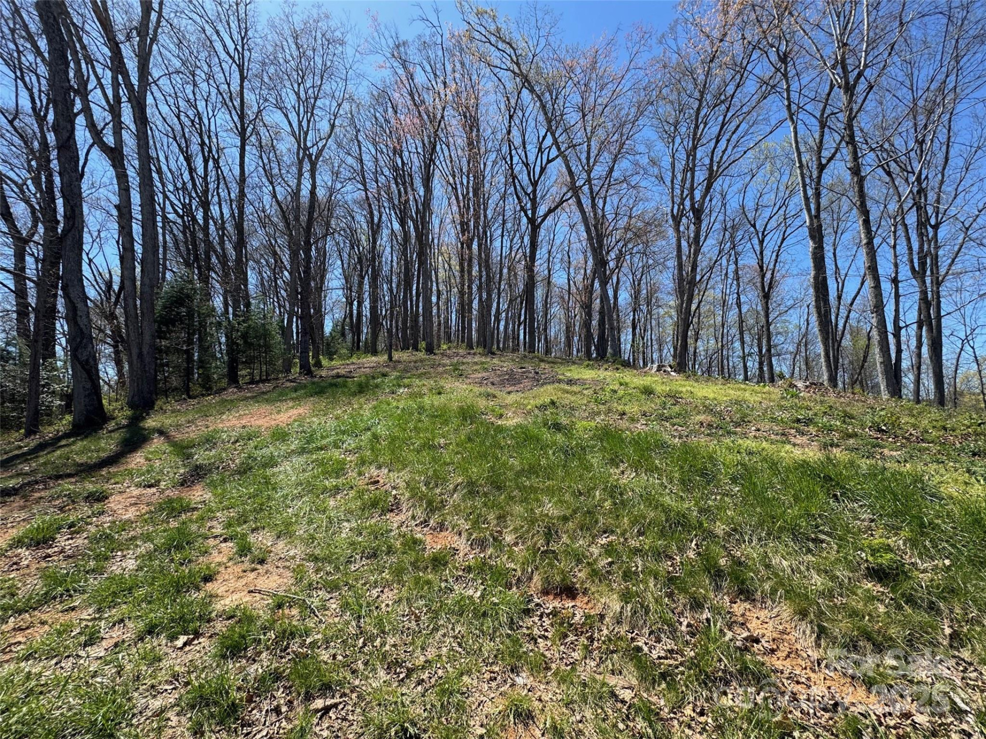 00 Aster Ridge Drive #10 - Photo 17