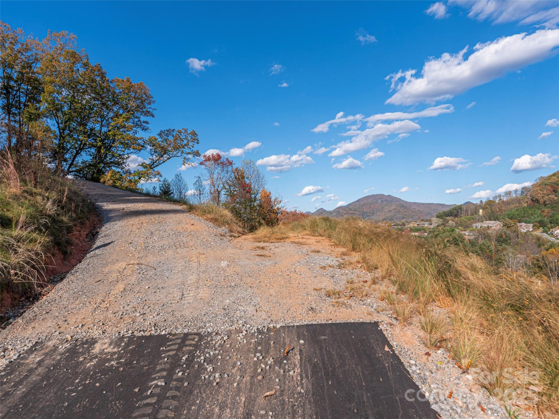 00 Aster Ridge Drive #10 - Photo 3