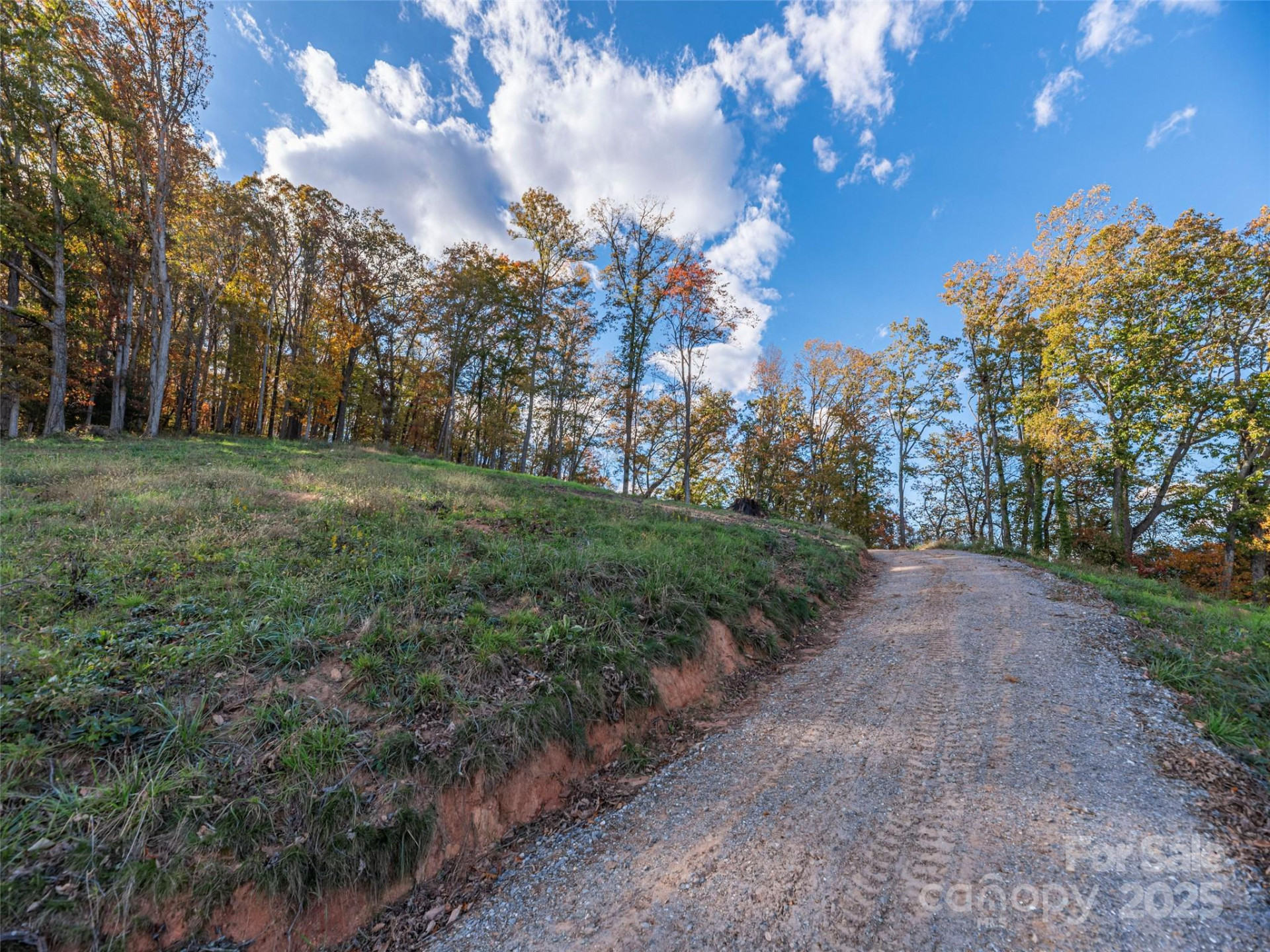 00 Aster Ridge Drive #10 - Photo 4