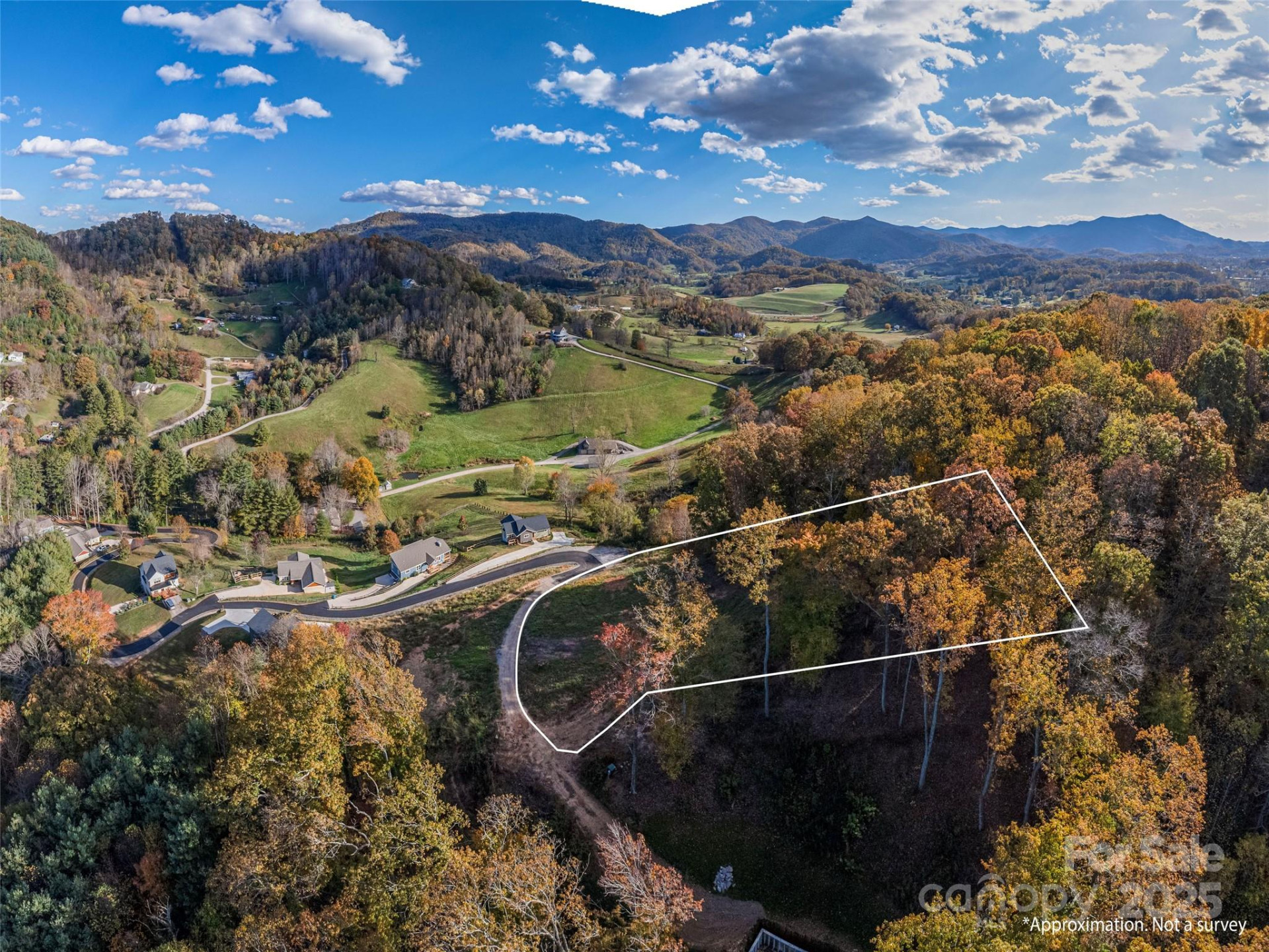 00 Aster Ridge Drive #10 - Photo 10