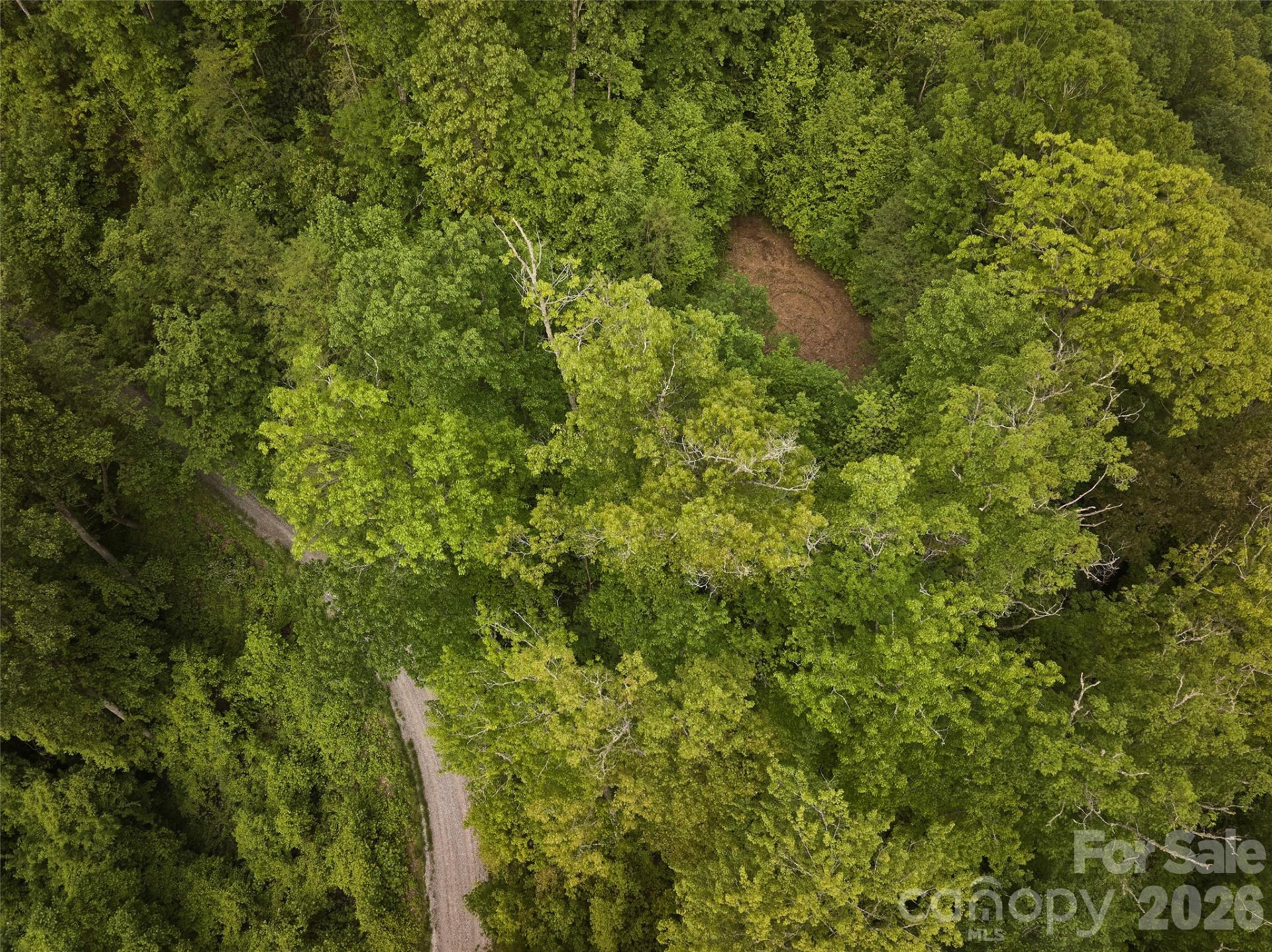 0 Pauline Drive - Photo 11