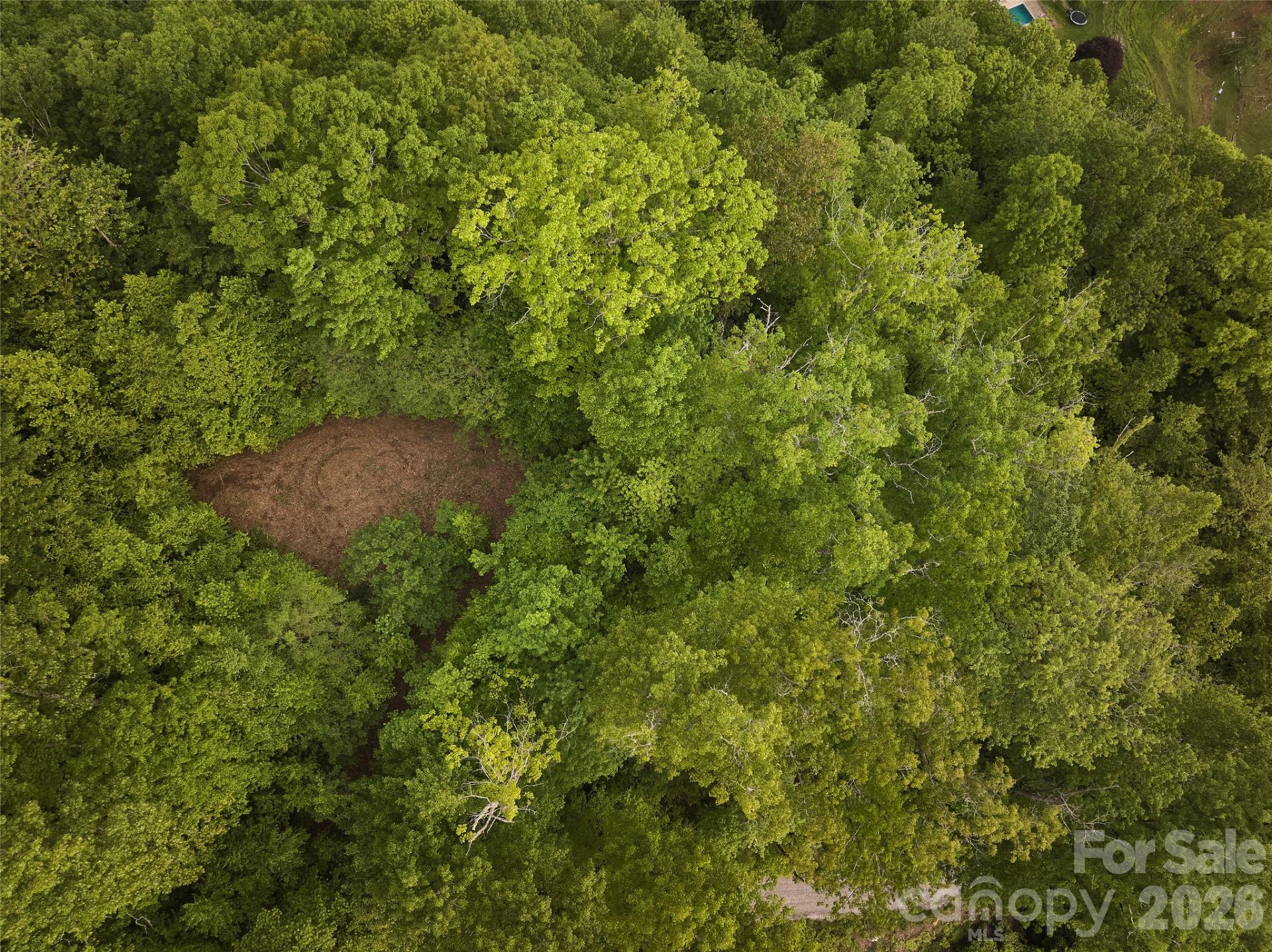 0 Pauline Drive - Photo 12