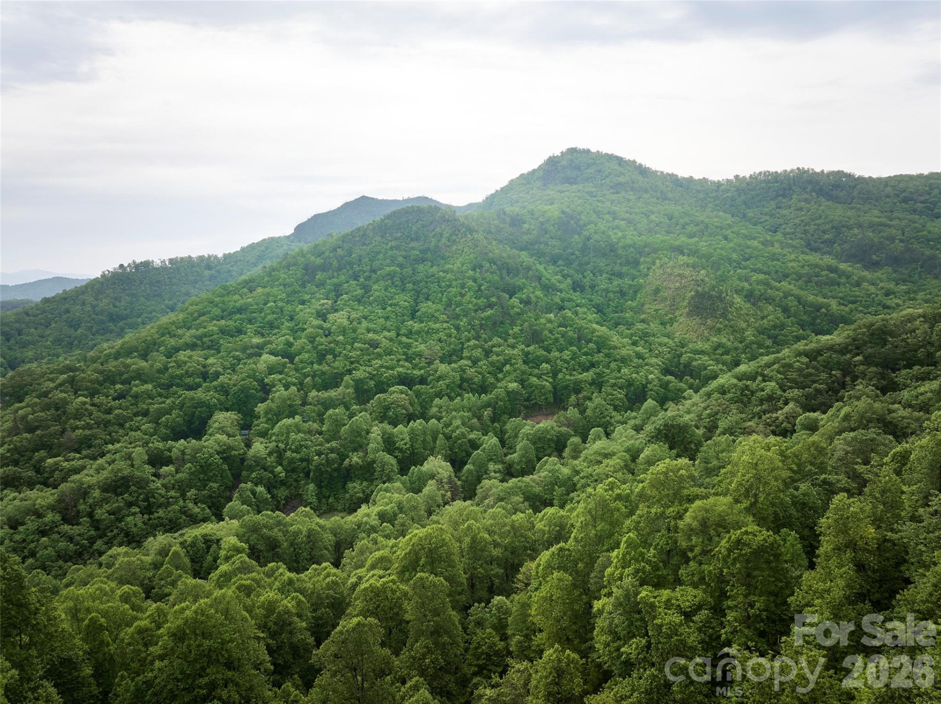 0 Pauline Drive - Photo 14