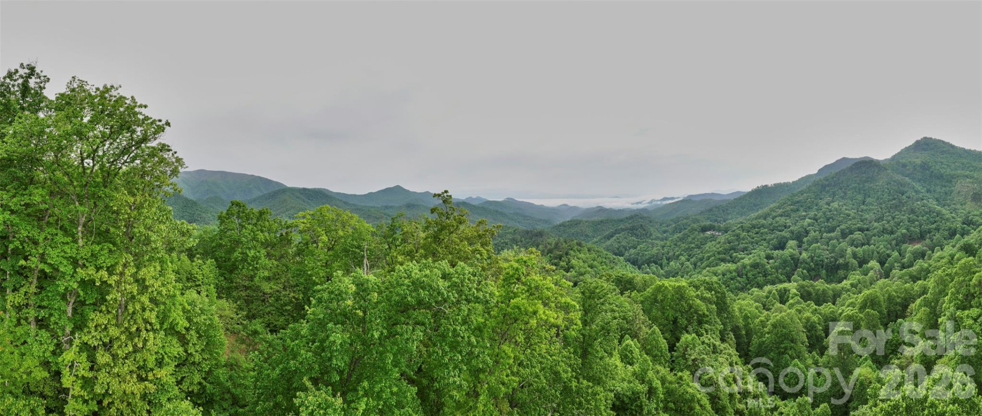 0 Pauline Drive - Photo 16