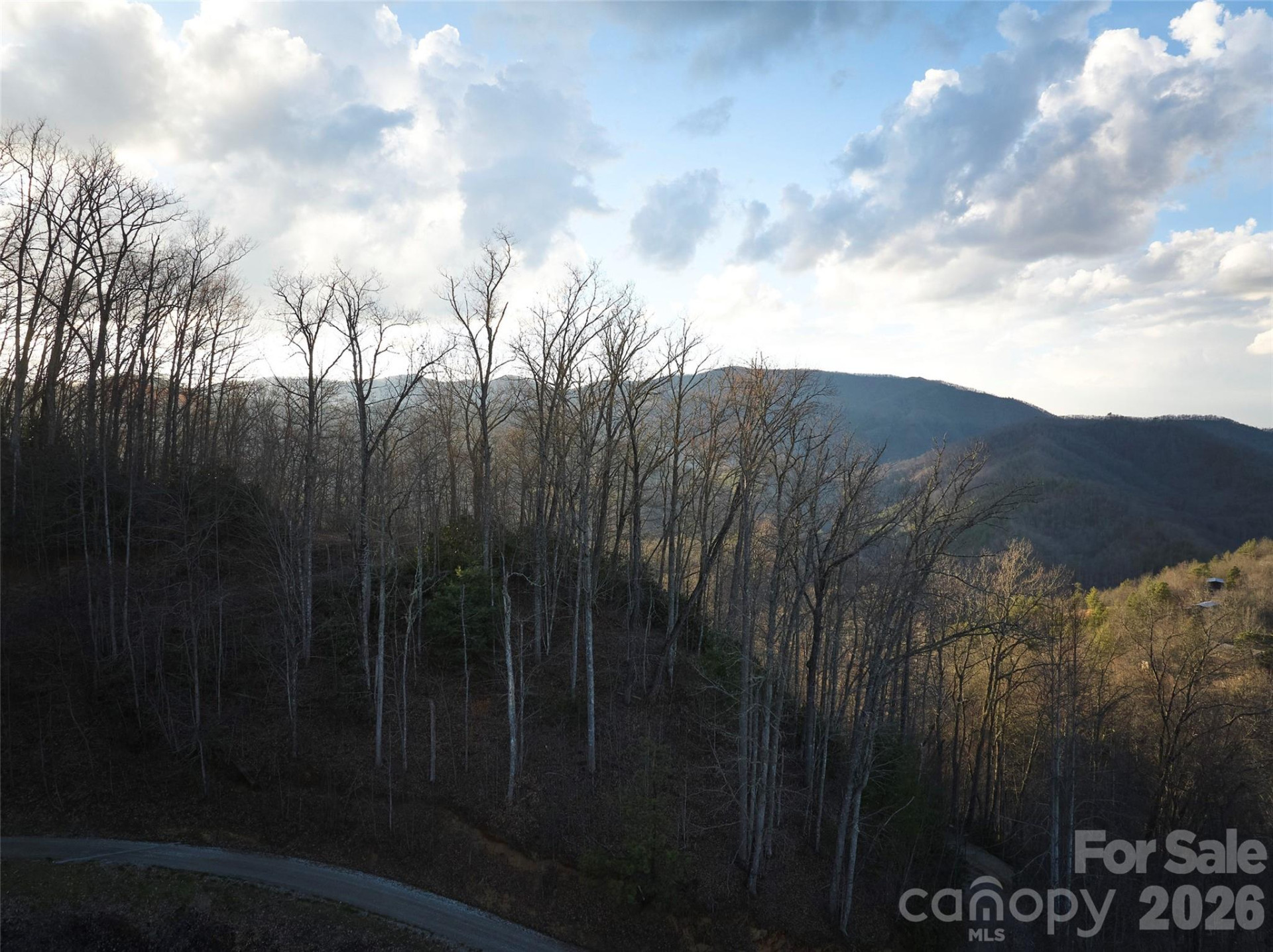 0 Pauline Drive - Photo 5