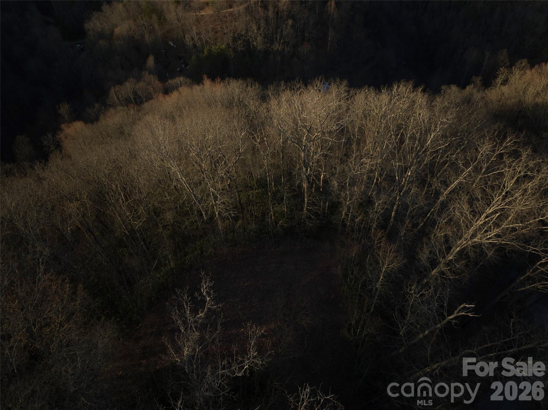 0 Pauline Drive - Photo 9