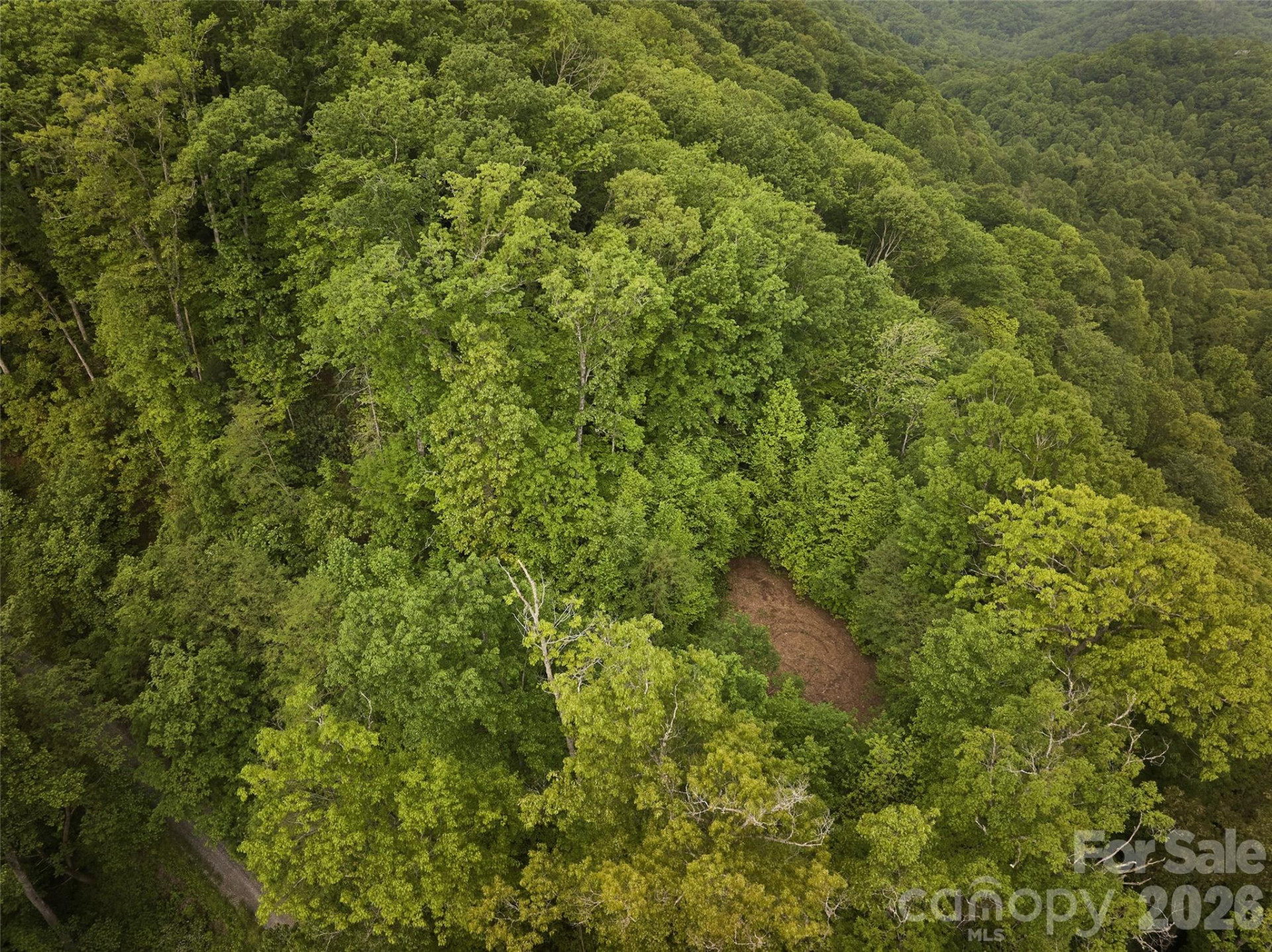 0 Pauline Drive - Photo 10