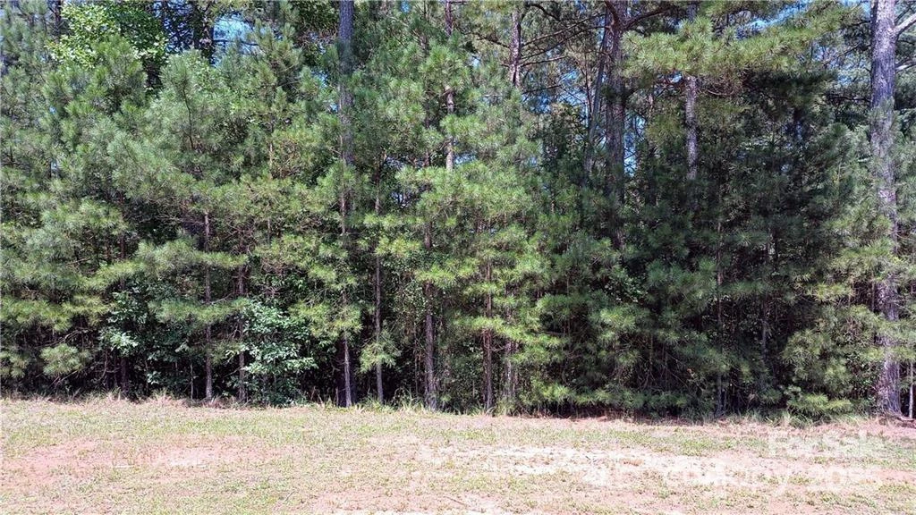 224 Riverwalk Drive - Photo 8