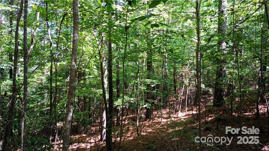 224 Riverwalk Drive - Photo 9