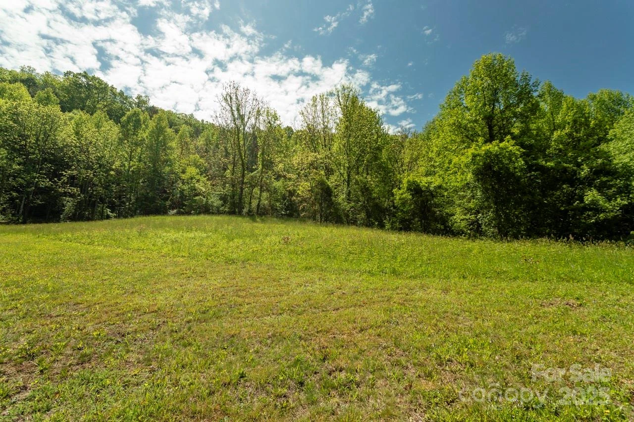 Off of Locust Creek Road - Photo 2