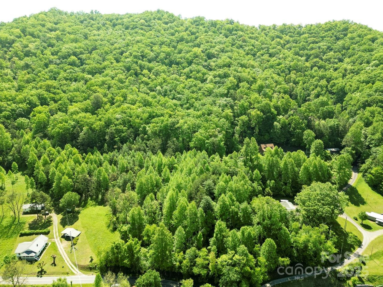 Off of Locust Creek Road - Photo 11