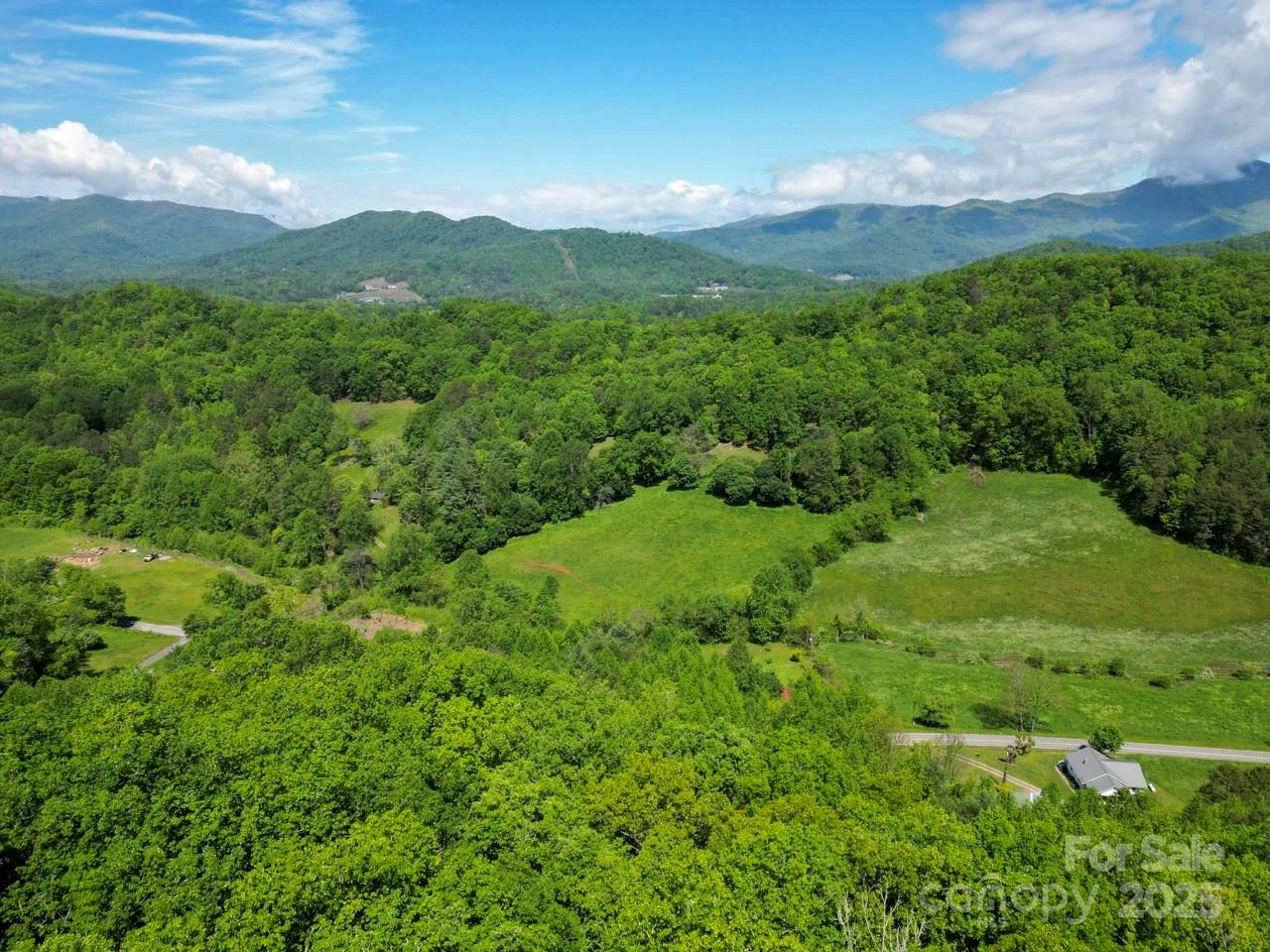 Off of Locust Creek Road - Photo 12