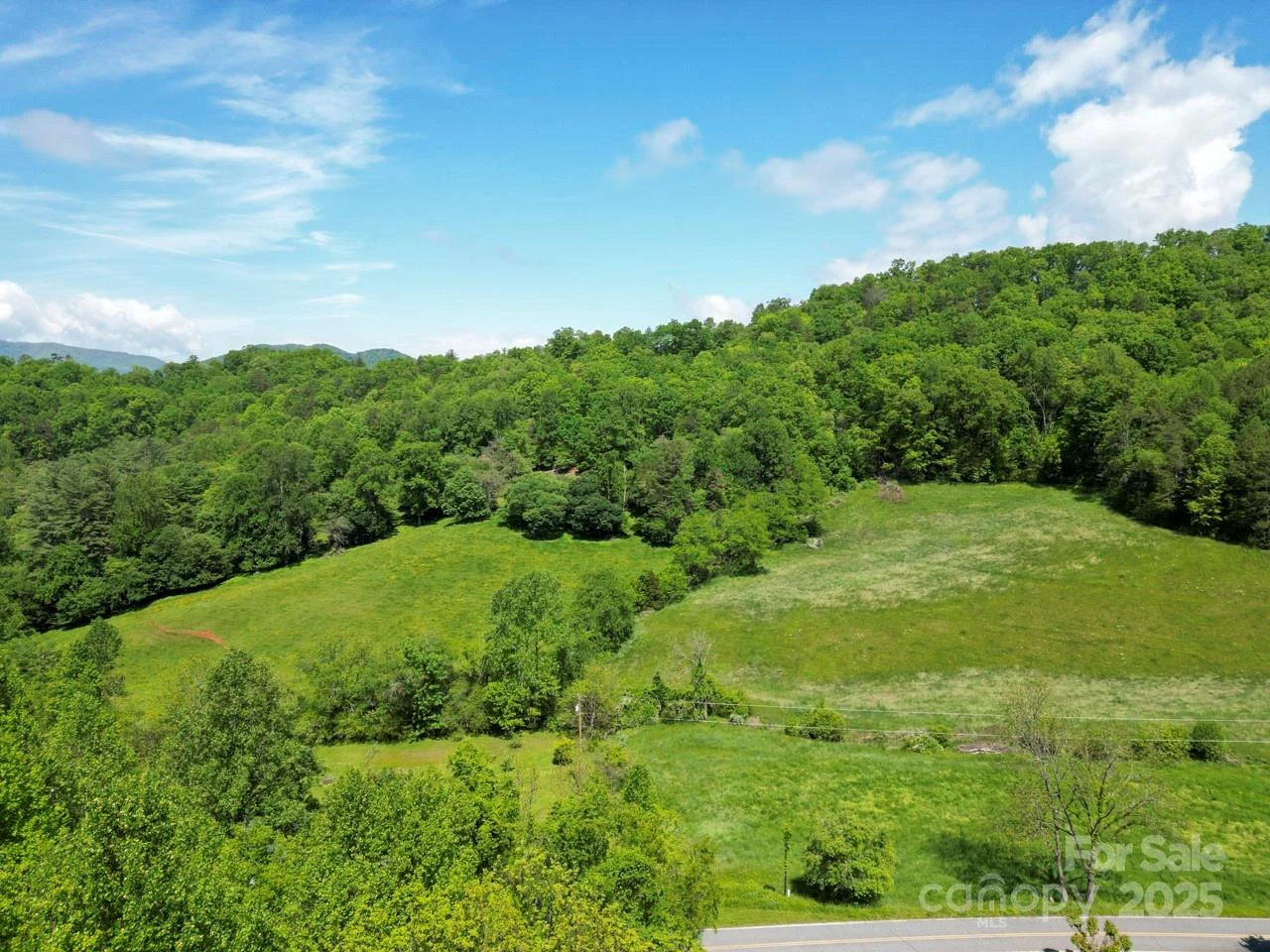 Off of Locust Creek Road - Photo 13