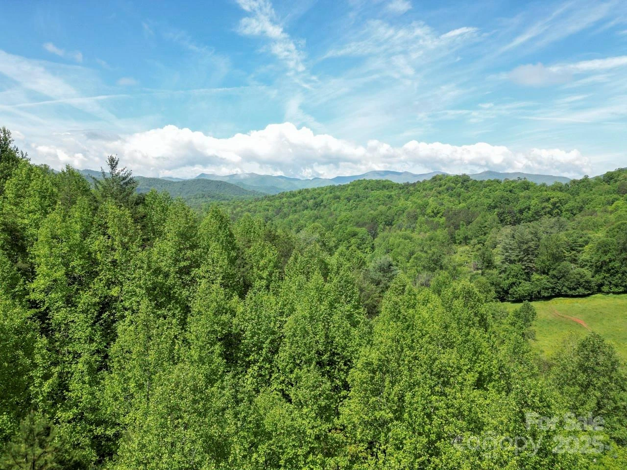 Off of Locust Creek Road - Photo 14