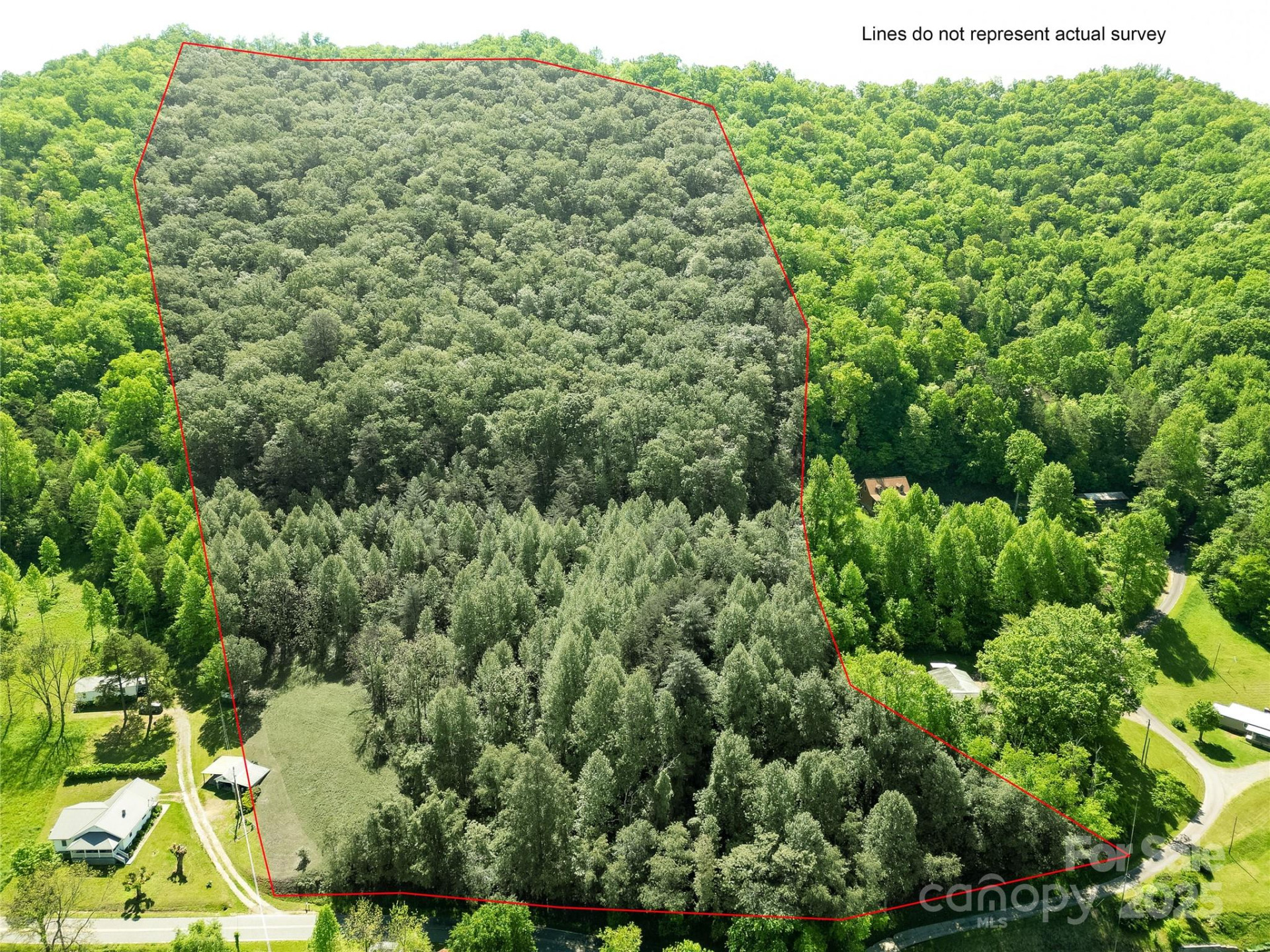 Off of Locust Creek Road - Photo 16