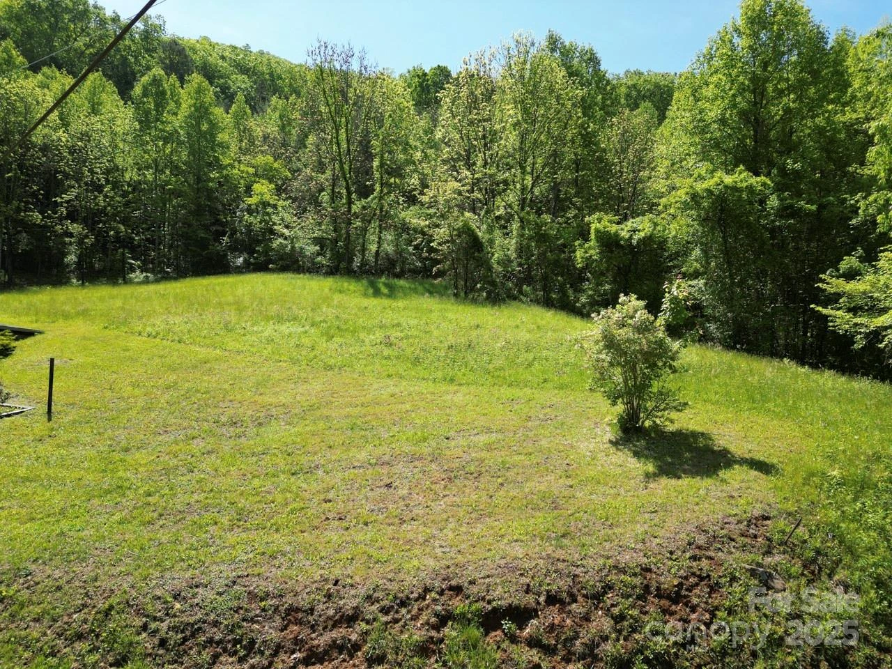 Off of Locust Creek Road - Photo 17