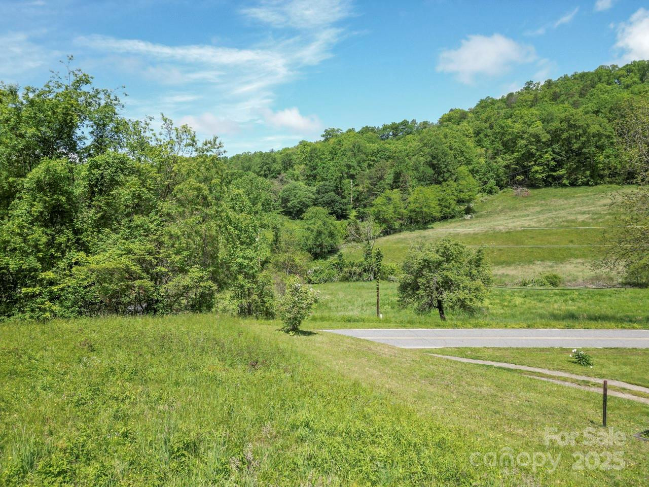 Off of Locust Creek Road - Photo 19
