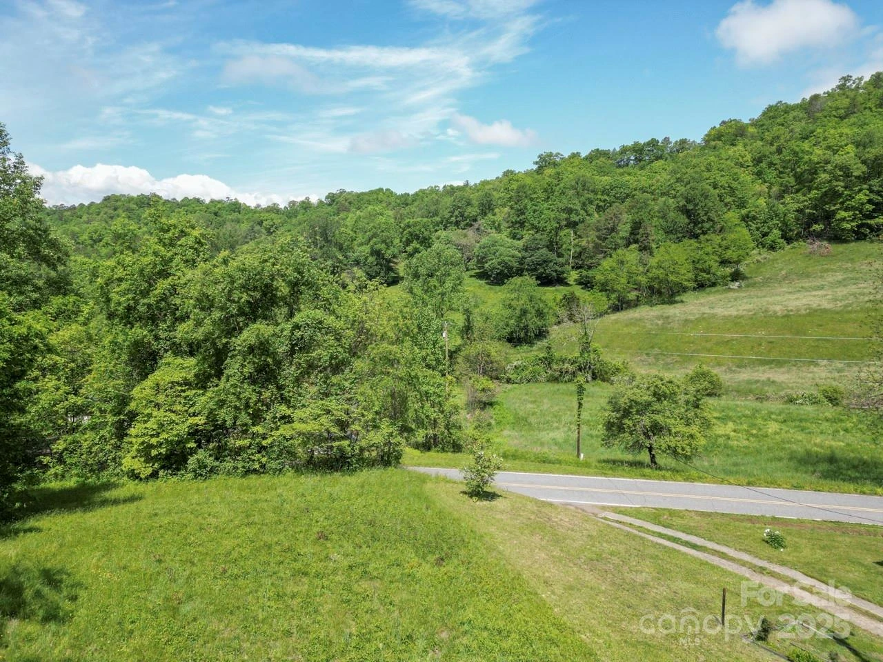 Off of Locust Creek Road - Photo 20
