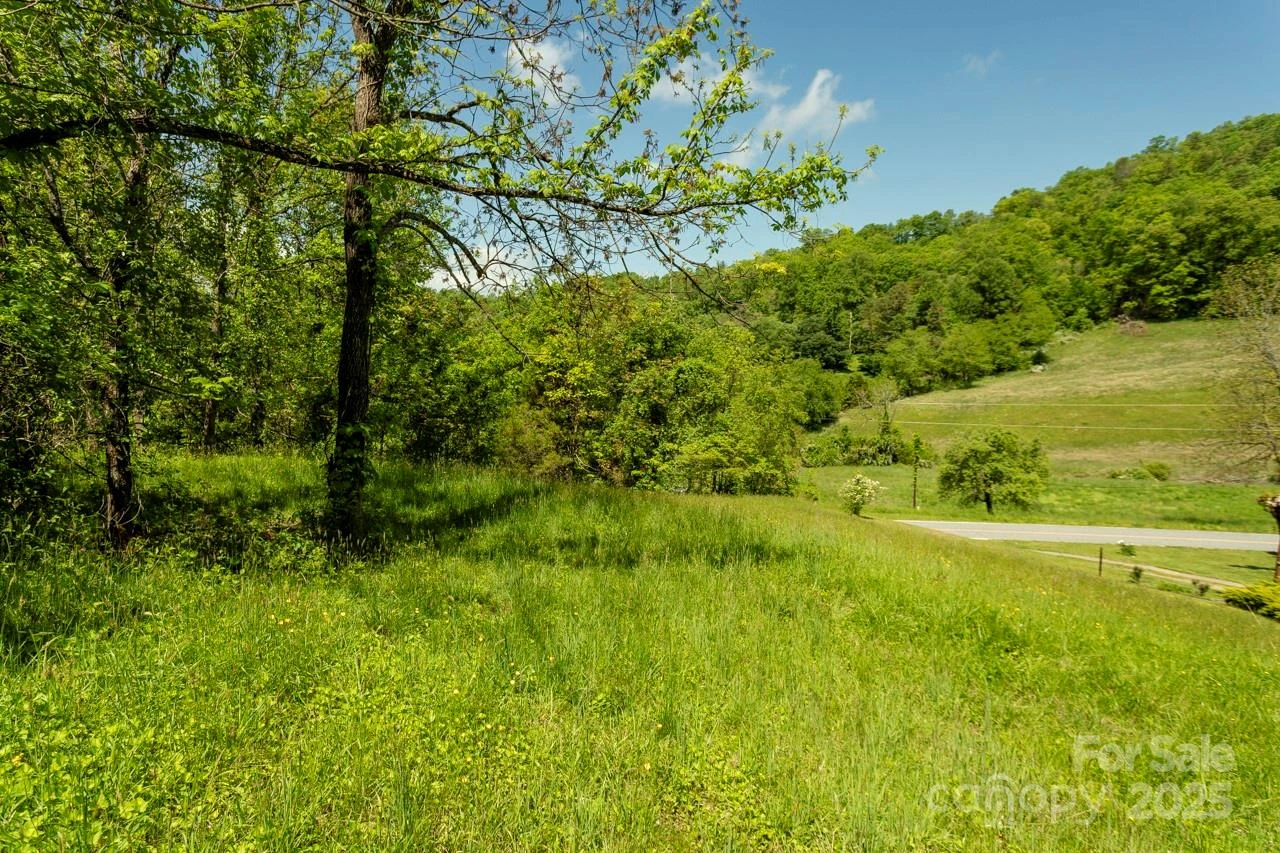 Off of Locust Creek Road - Photo 4