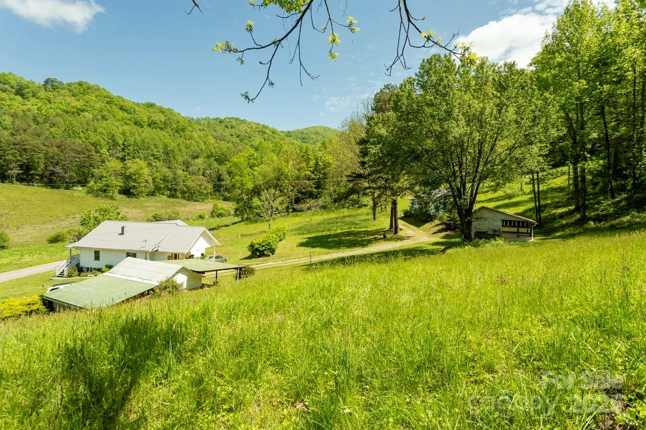 Off of Locust Creek Road - Photo 5