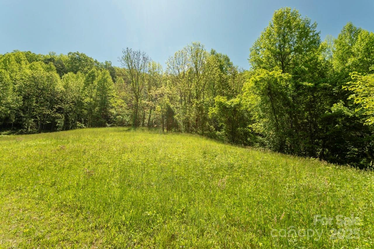Off of Locust Creek Road - Photo 7