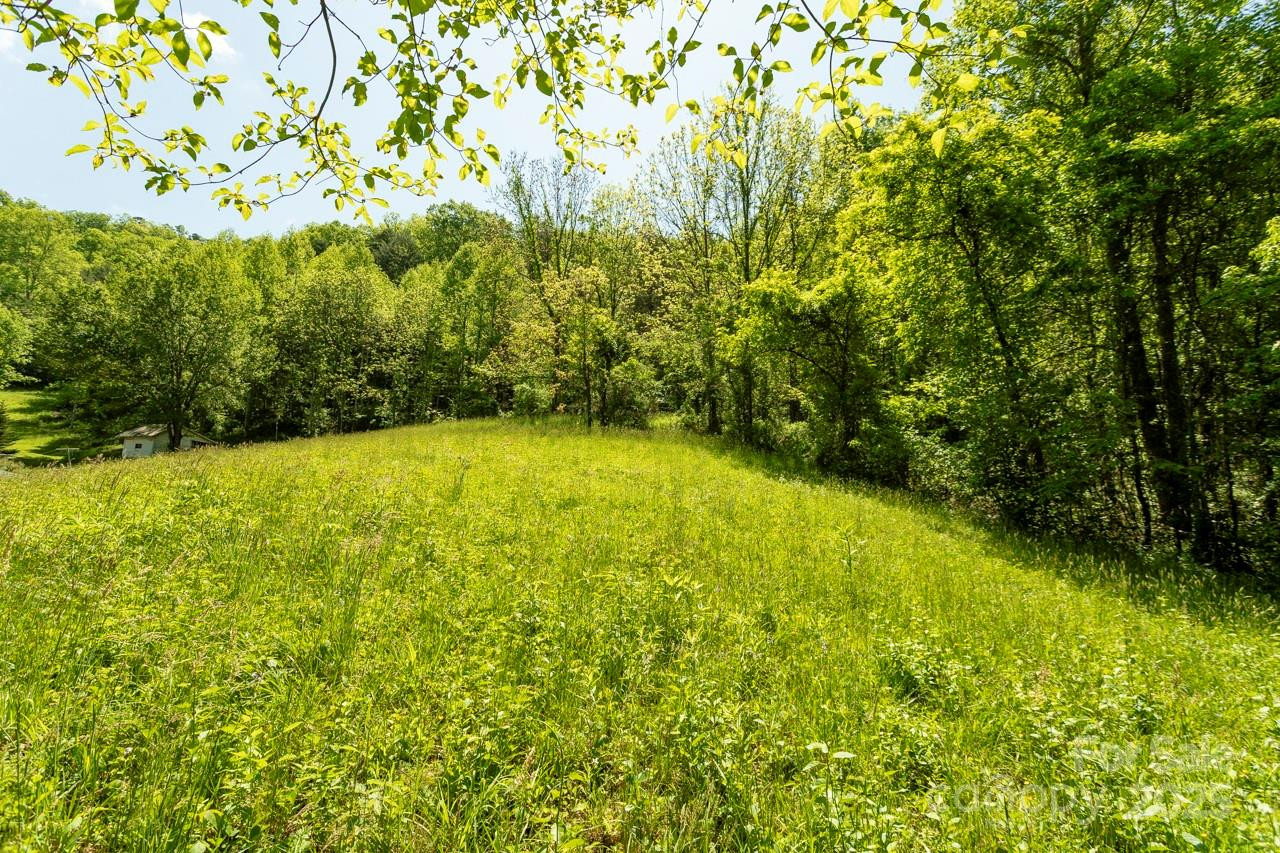 Off of Locust Creek Road - Photo 8