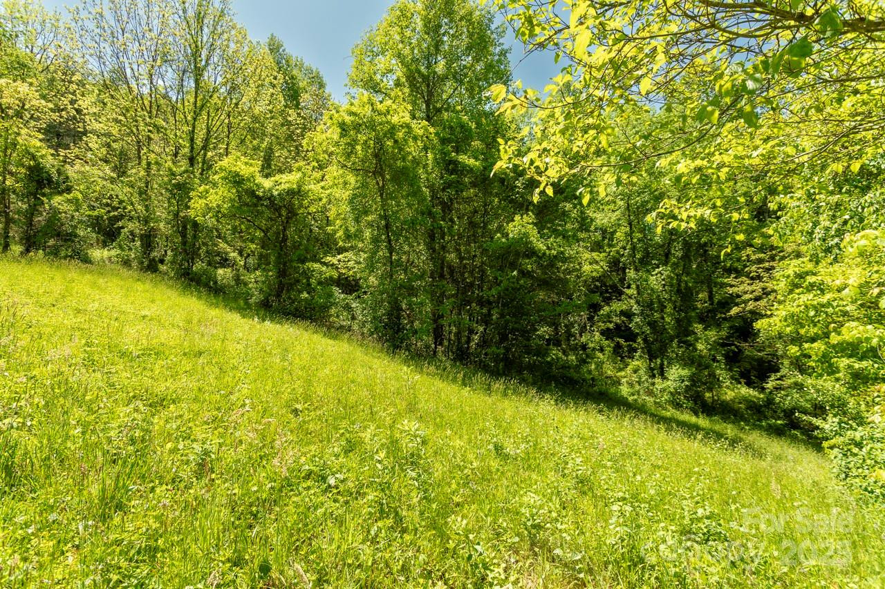 Off of Locust Creek Road - Photo 9