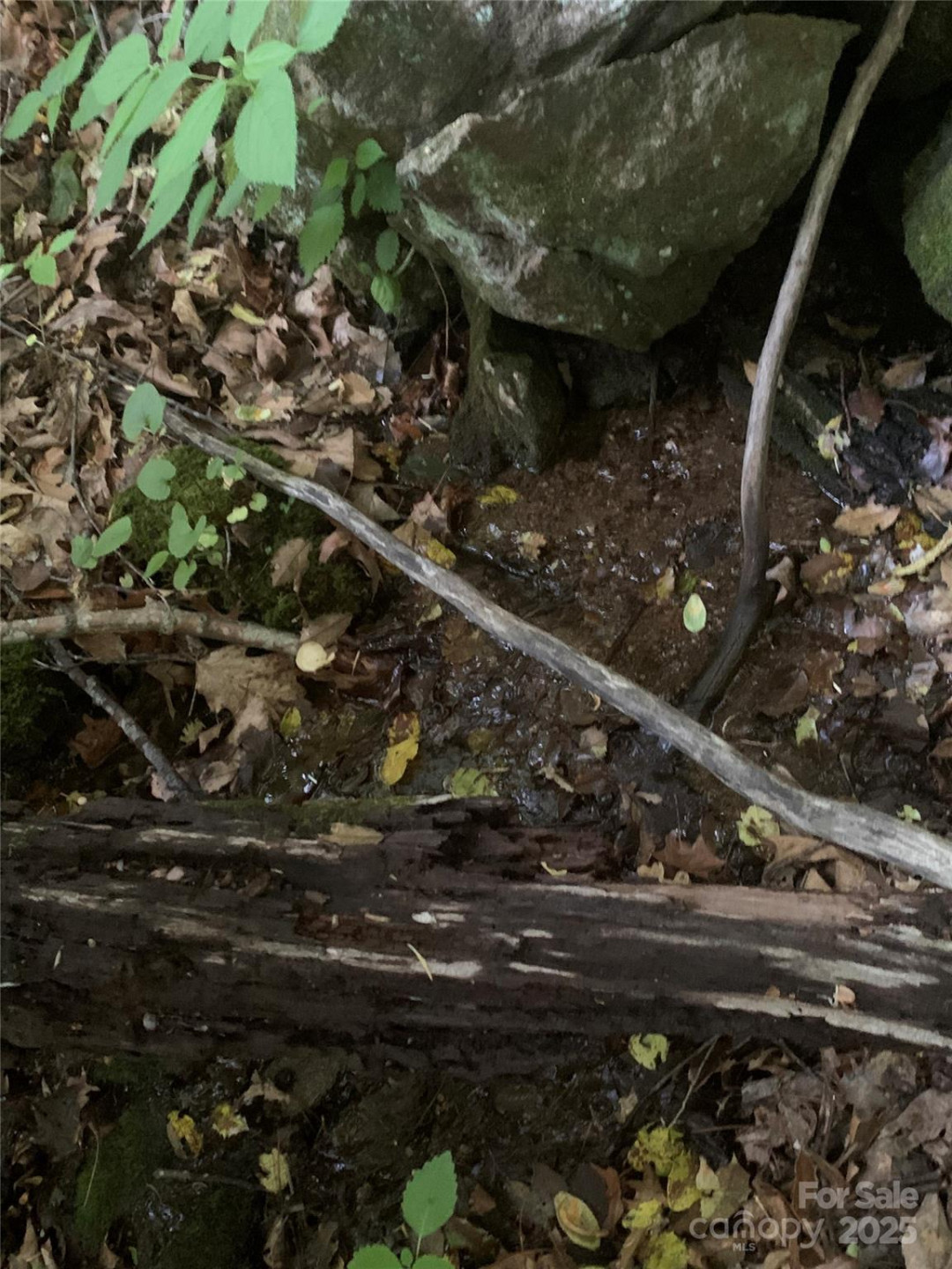 5 Friar Tuck Lane #5 - Photo 11