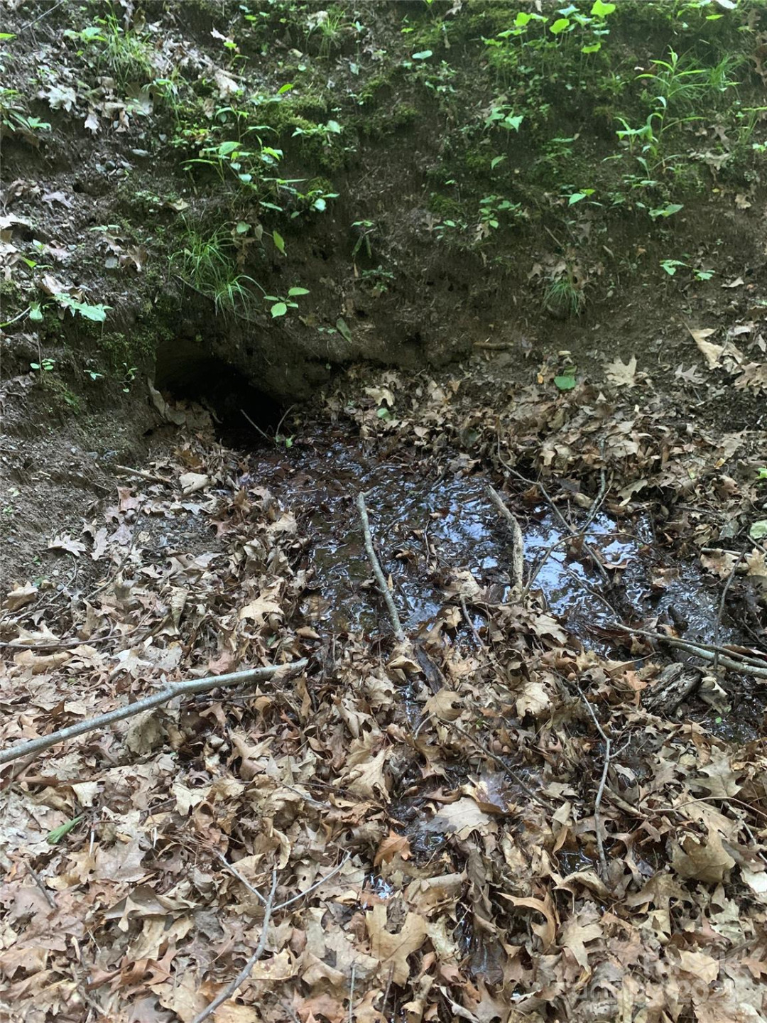 5 Friar Tuck Lane #5 - Photo 12