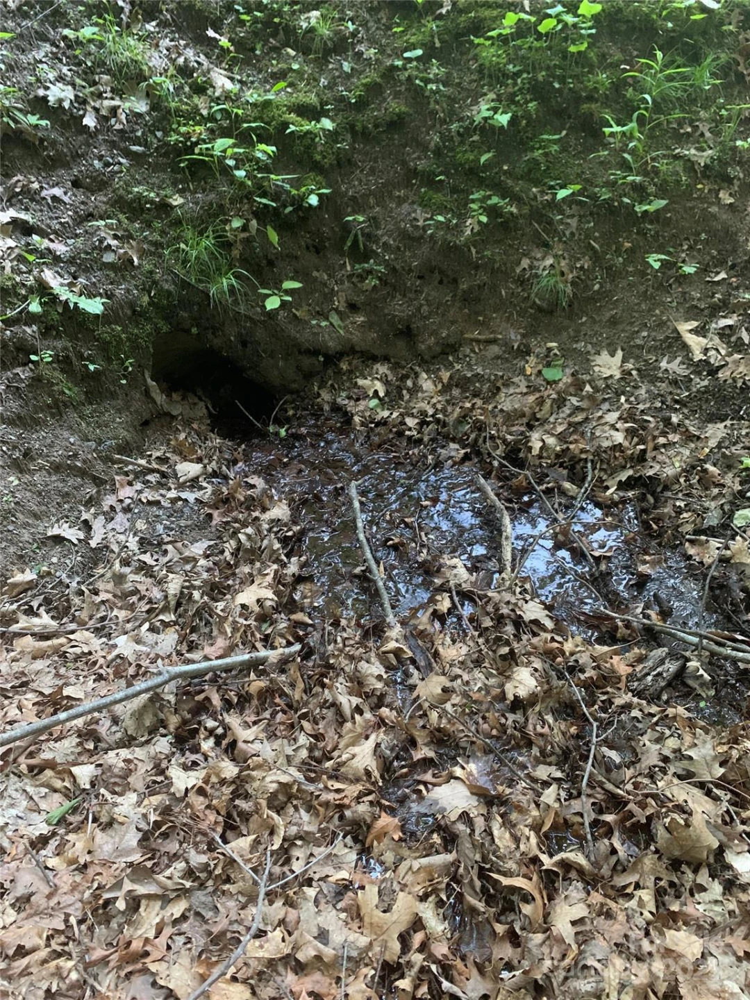 5 Friar Tuck Lane #5 - Photo 12