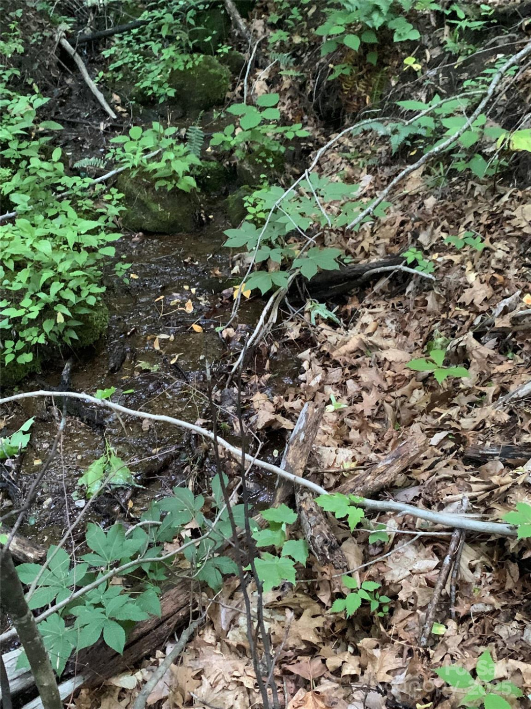 5 Friar Tuck Lane #5 - Photo 3