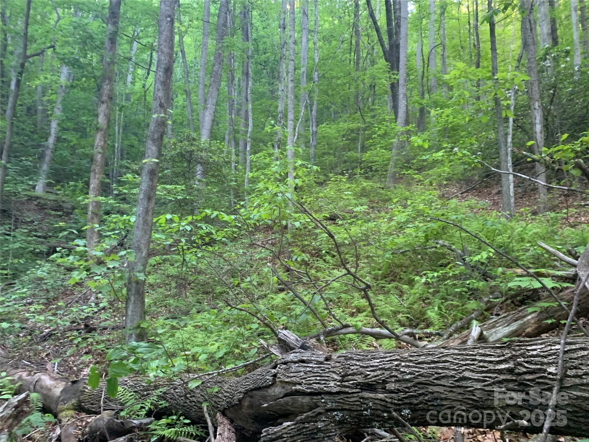 5 Friar Tuck Lane #5 - Photo 7