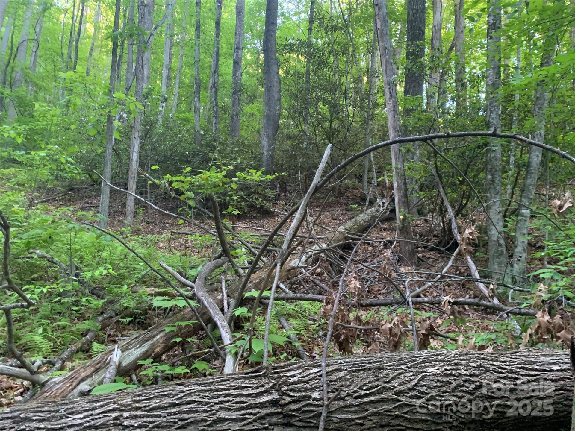 5 Friar Tuck Lane #5 - Photo 8