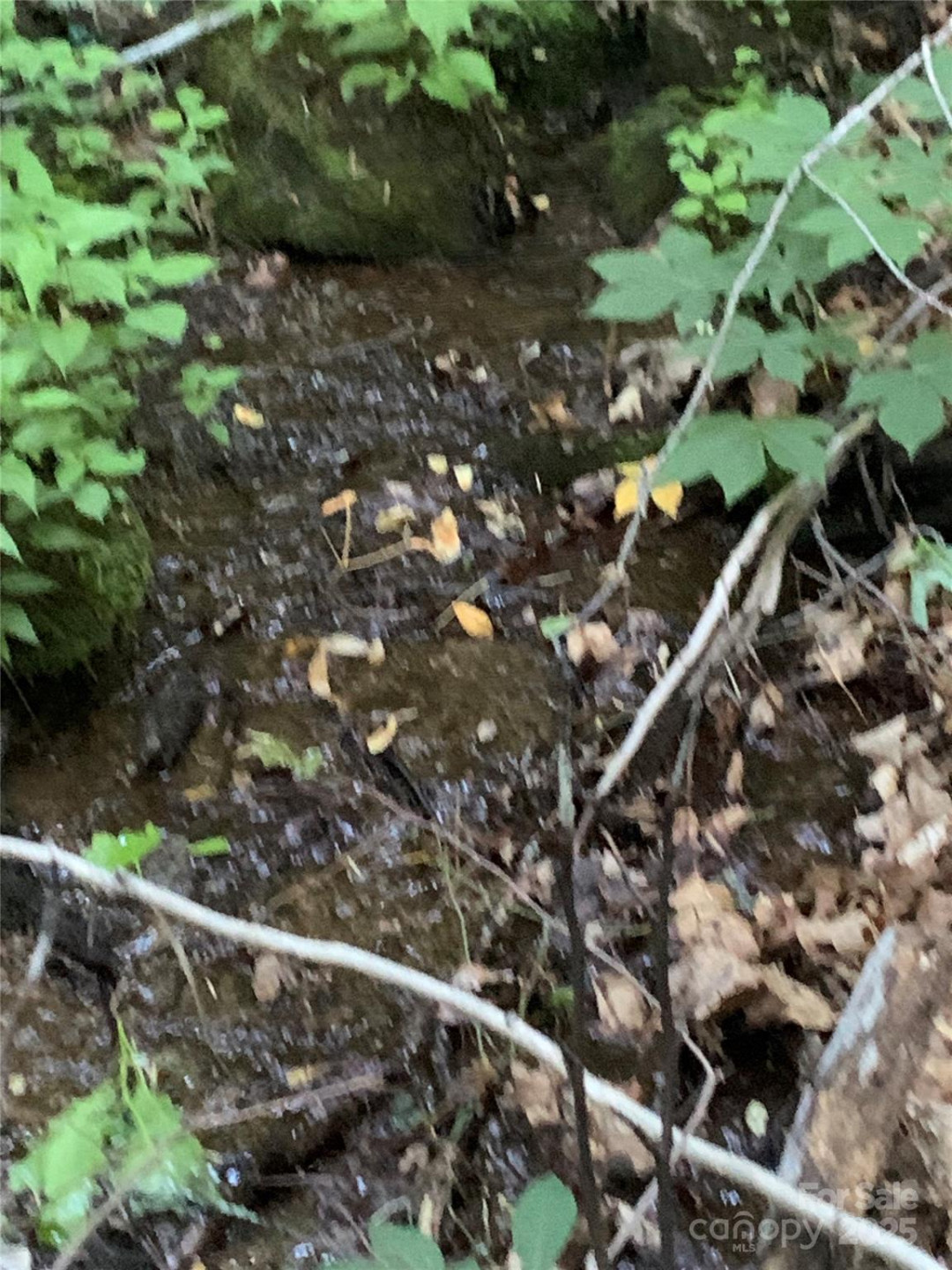 5 Friar Tuck Lane #5 - Photo 9