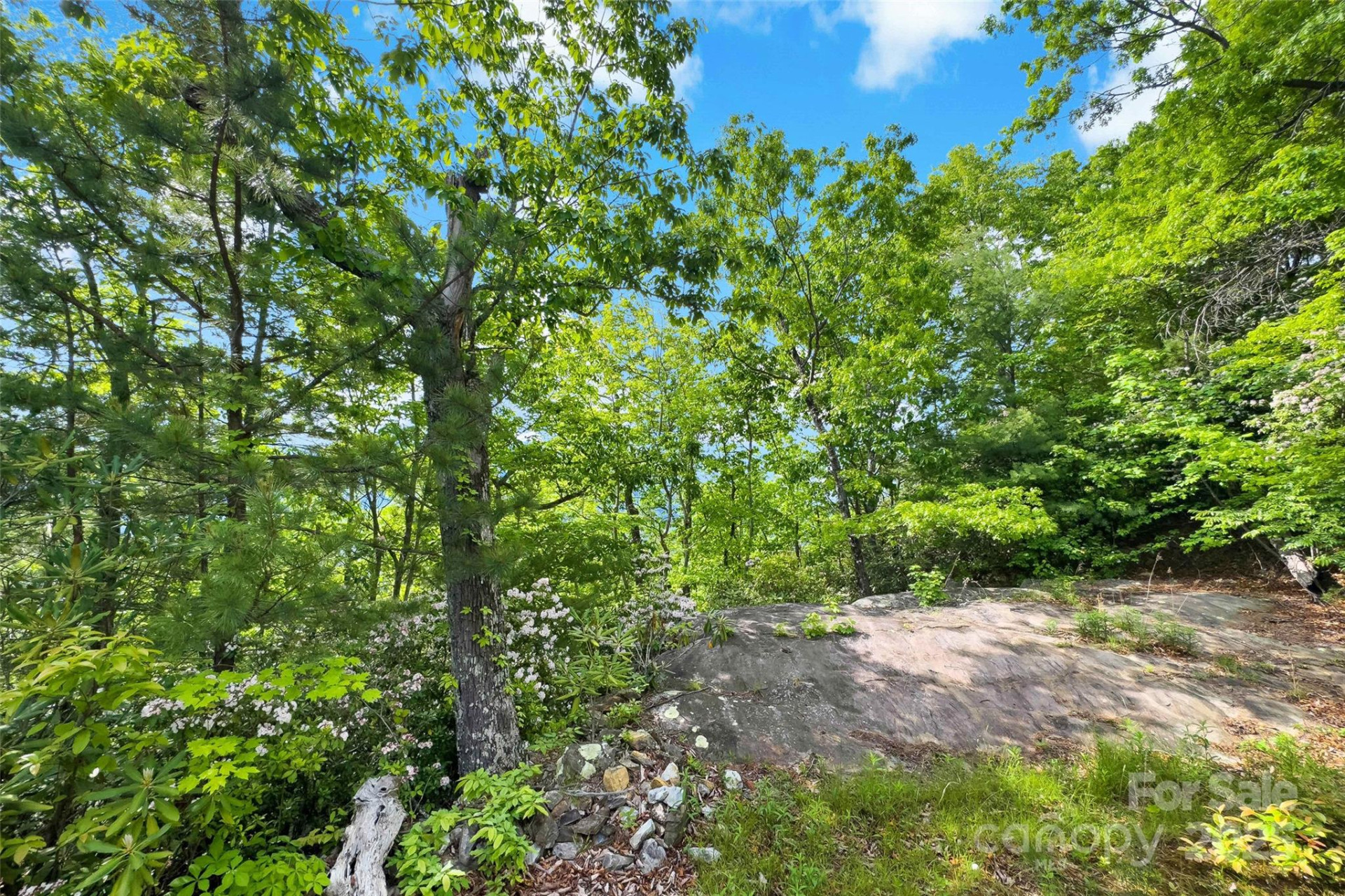 42 Parkway Drive - Photo 22