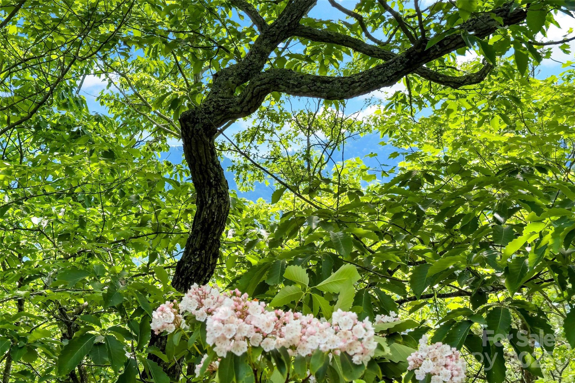 42 Parkway Drive - Photo 23