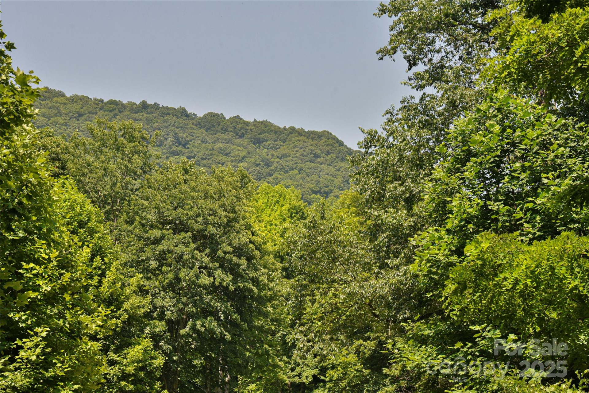 99999 Upward Way #36 - Photo 5