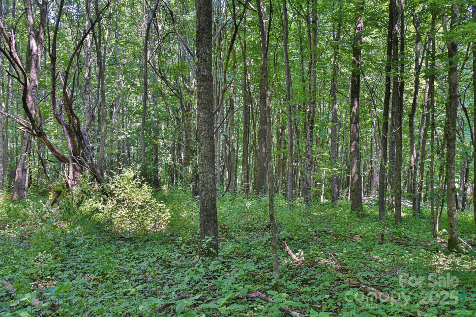 99999 Upward Way #36 - Photo 8