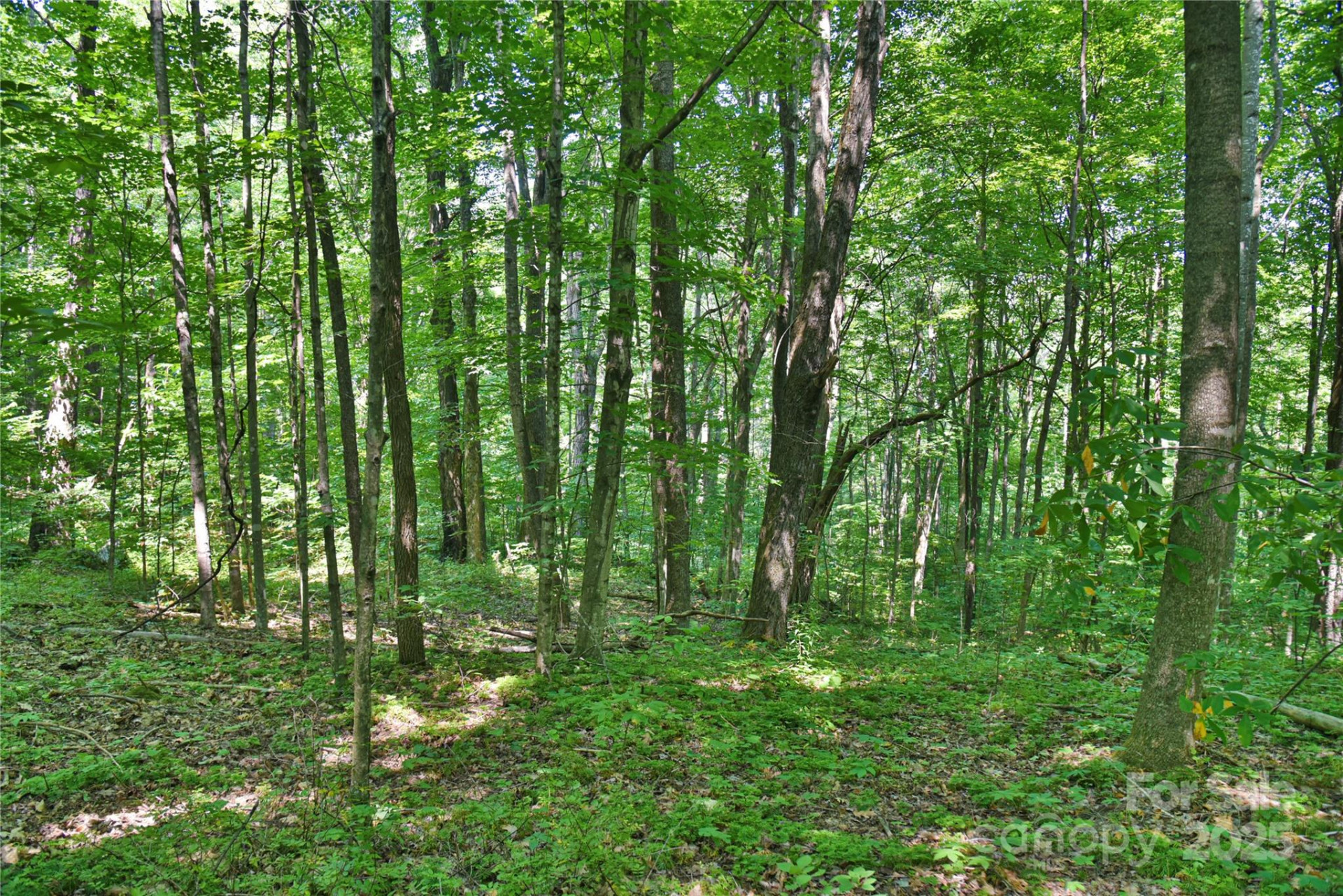99999 Upward Way #36 - Photo 9