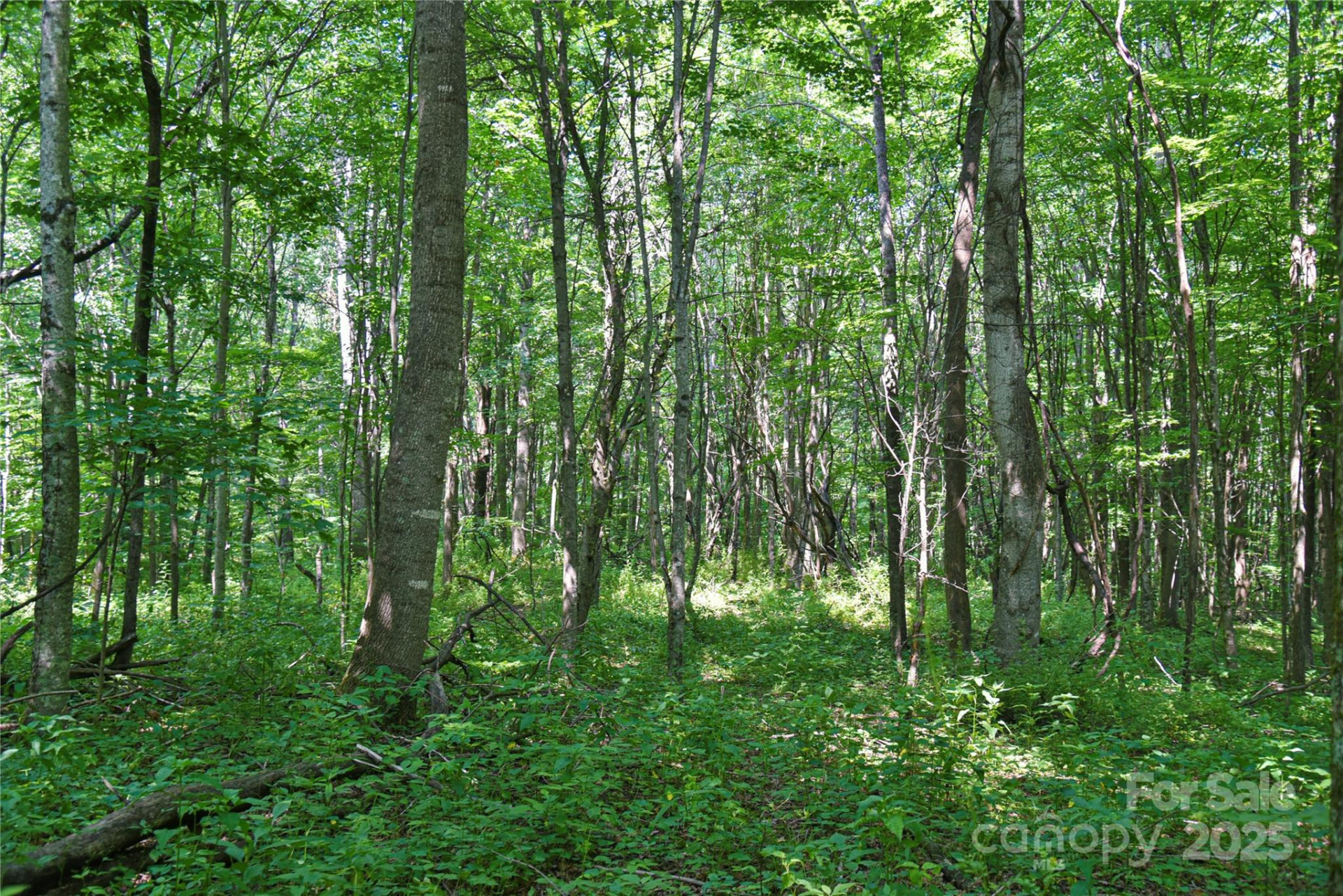 99999 Upward Way #36 - Photo 10