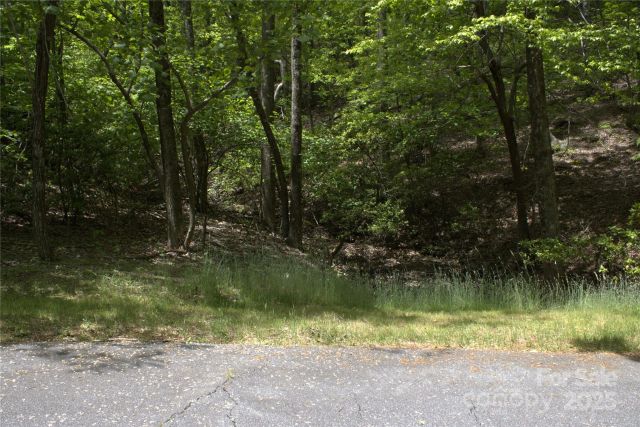 0 Blockaders Den None, Columbus, NC, 28722