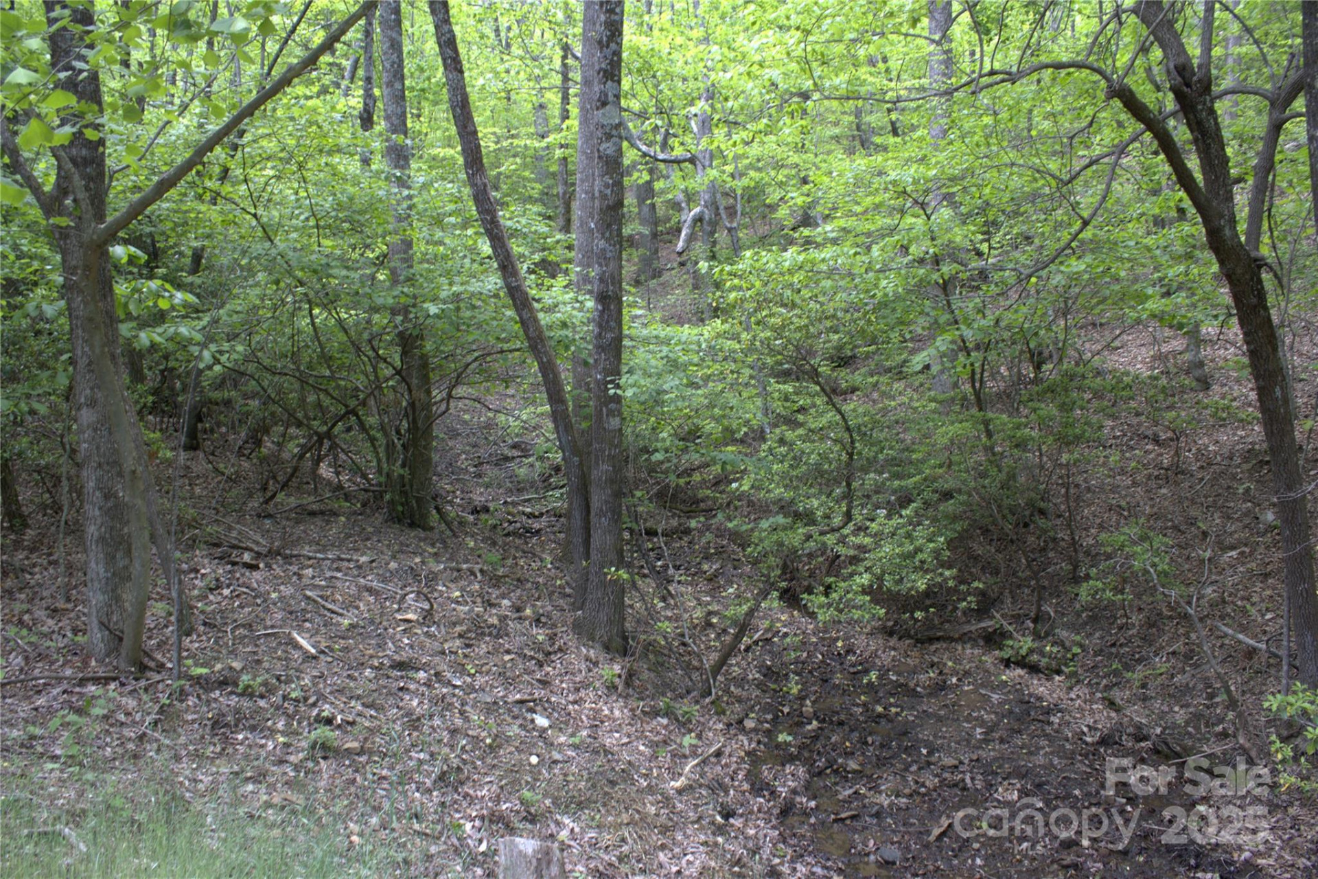 0 Blockaders Den None - Photo 3