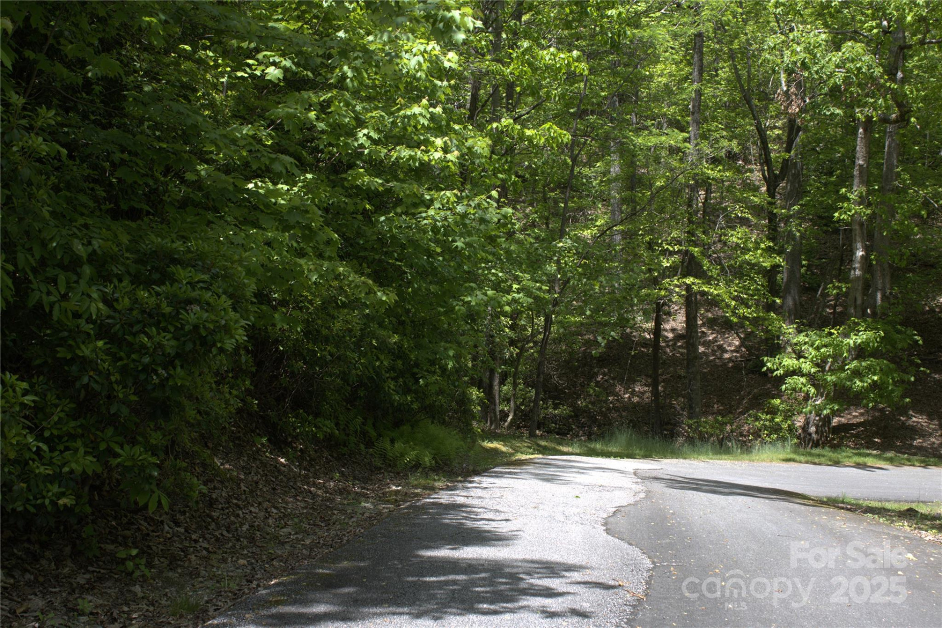 0 Blockaders Den None - Photo 5