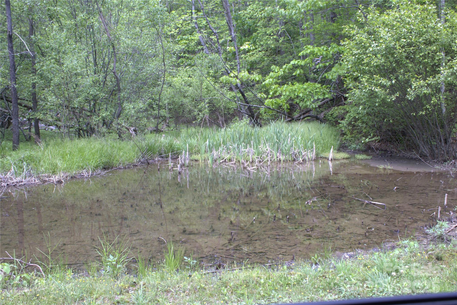 0 Blockaders Den None - Photo 7