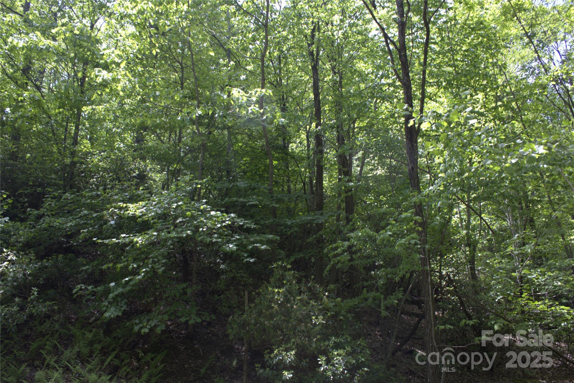 0 Blockaders Den None - Photo 8