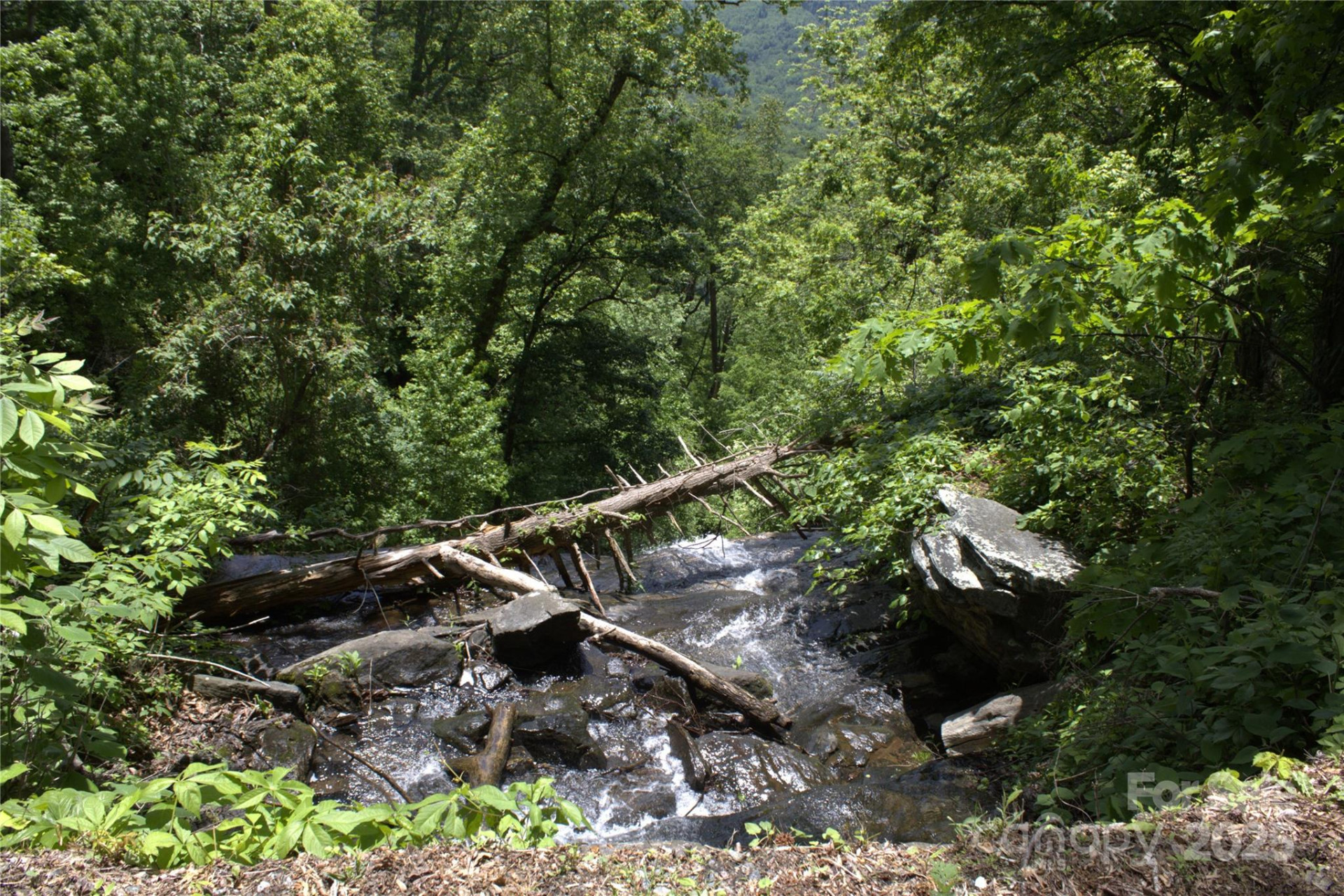 0 Blockaders Den None - Photo 10