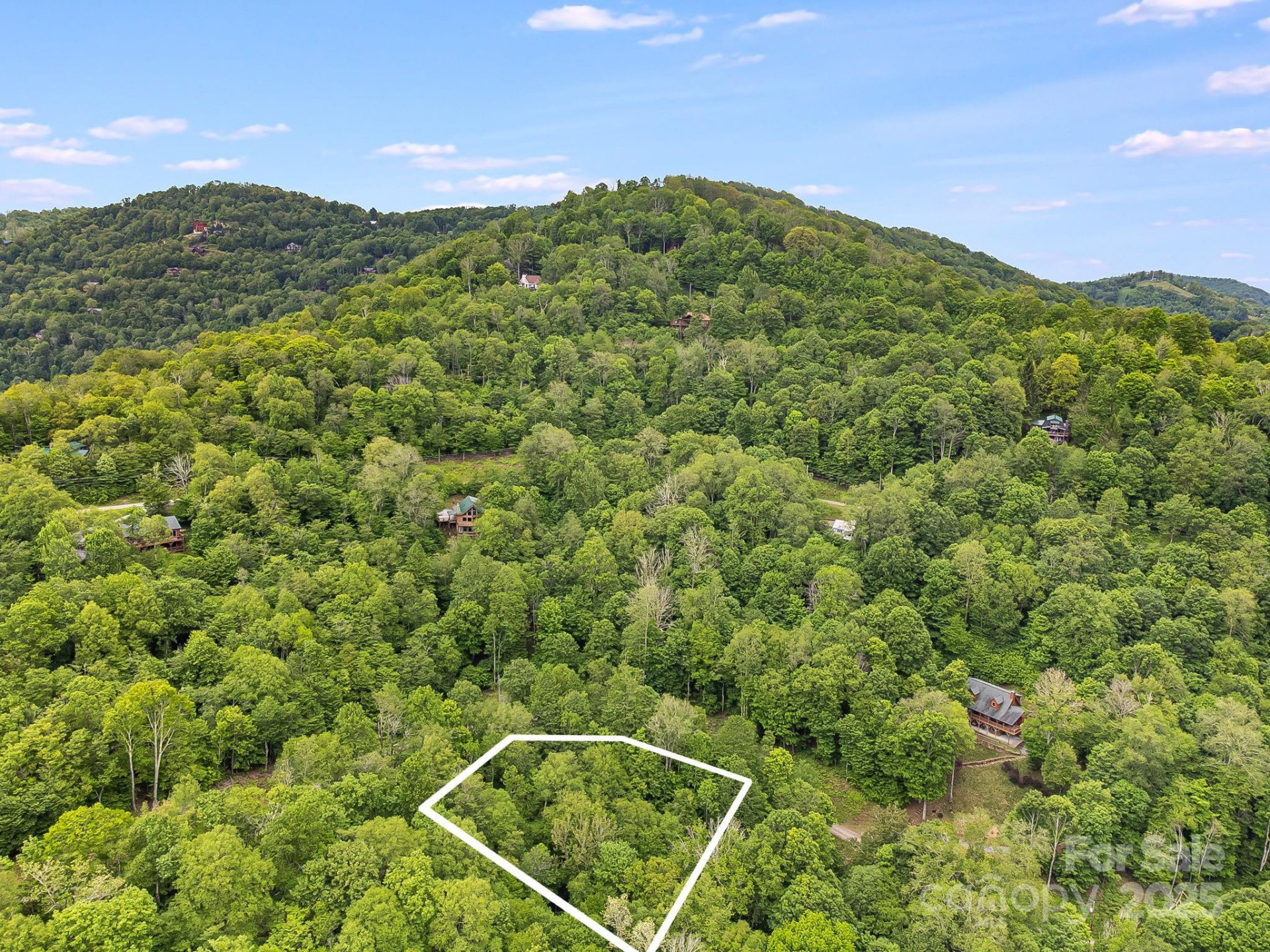 65 Bee Tree Lane - Photo 11