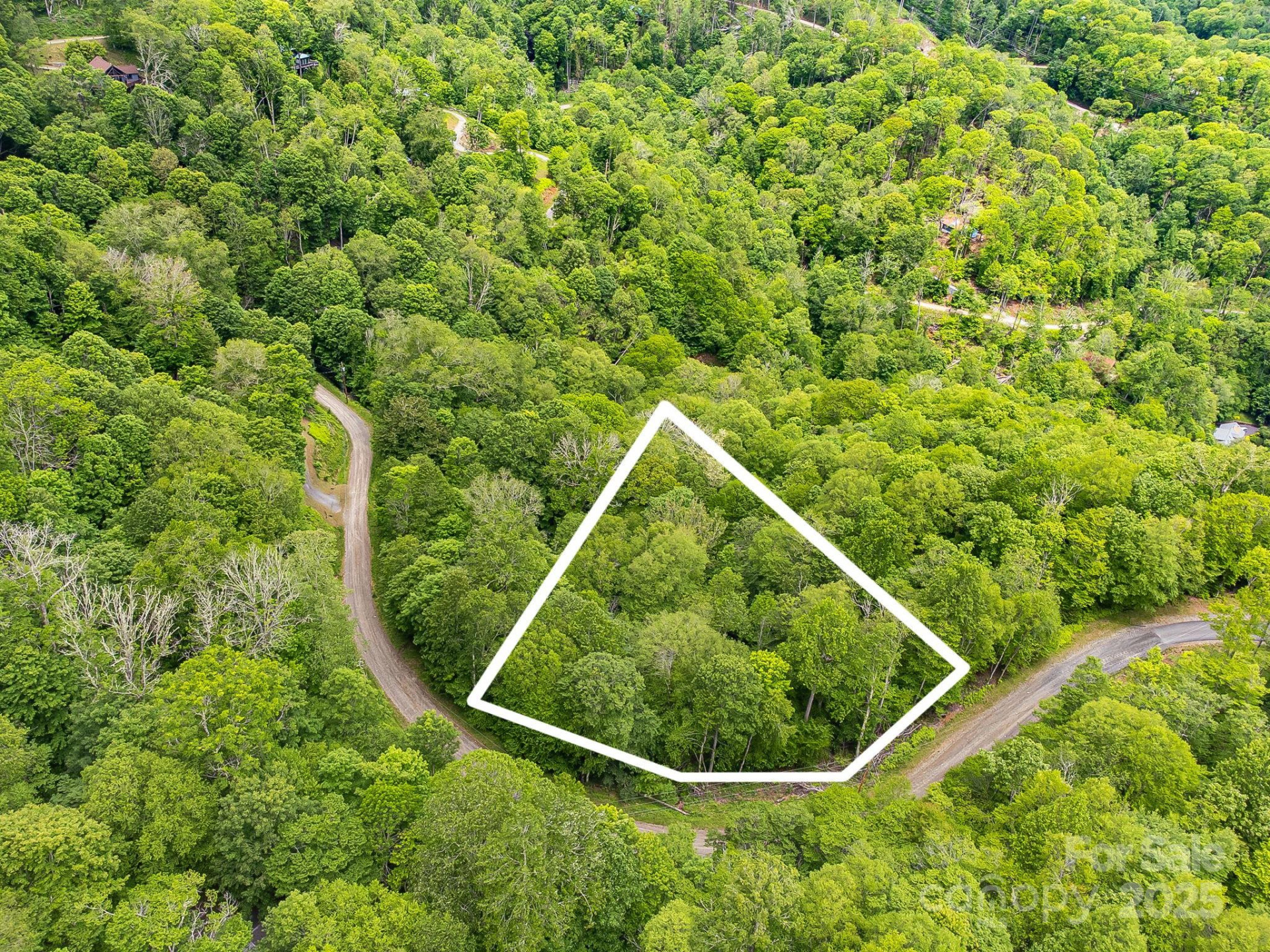 65 Bee Tree Lane - Photo 5