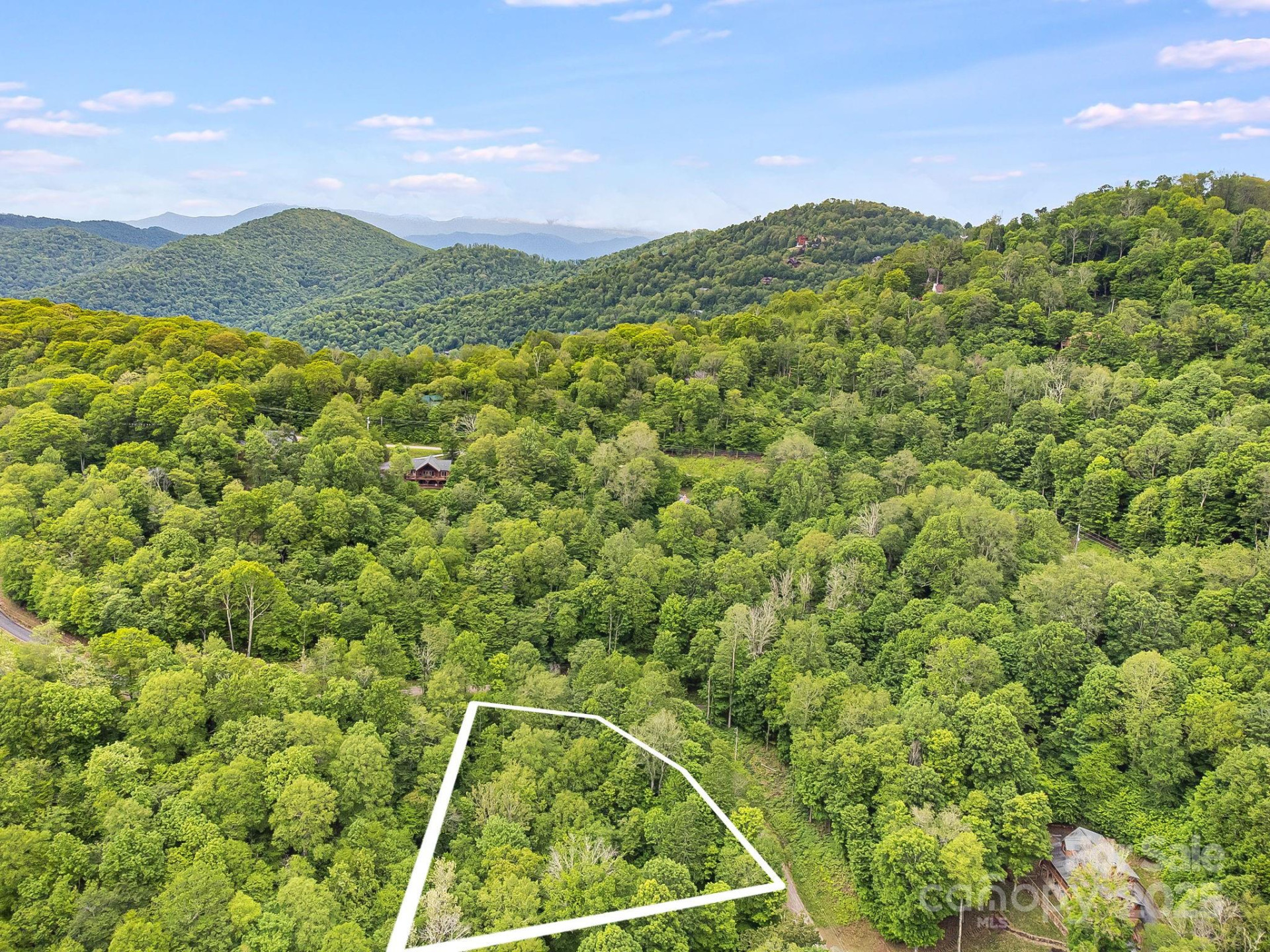 65 Bee Tree Lane - Photo 6